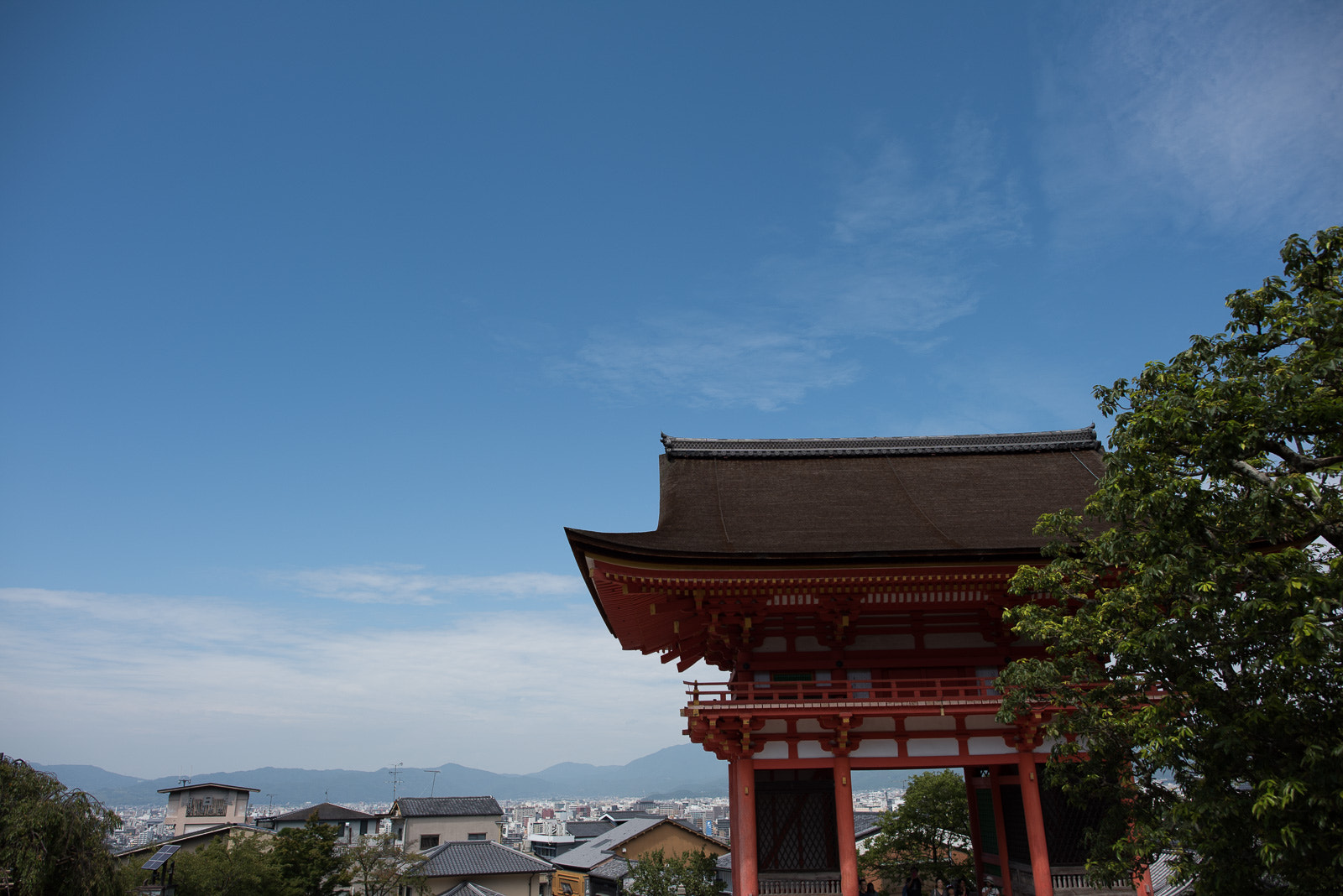 Nikon D810 + Nikon AF-S Nikkor 24mm F1.4G ED sample photo. Dsc photography
