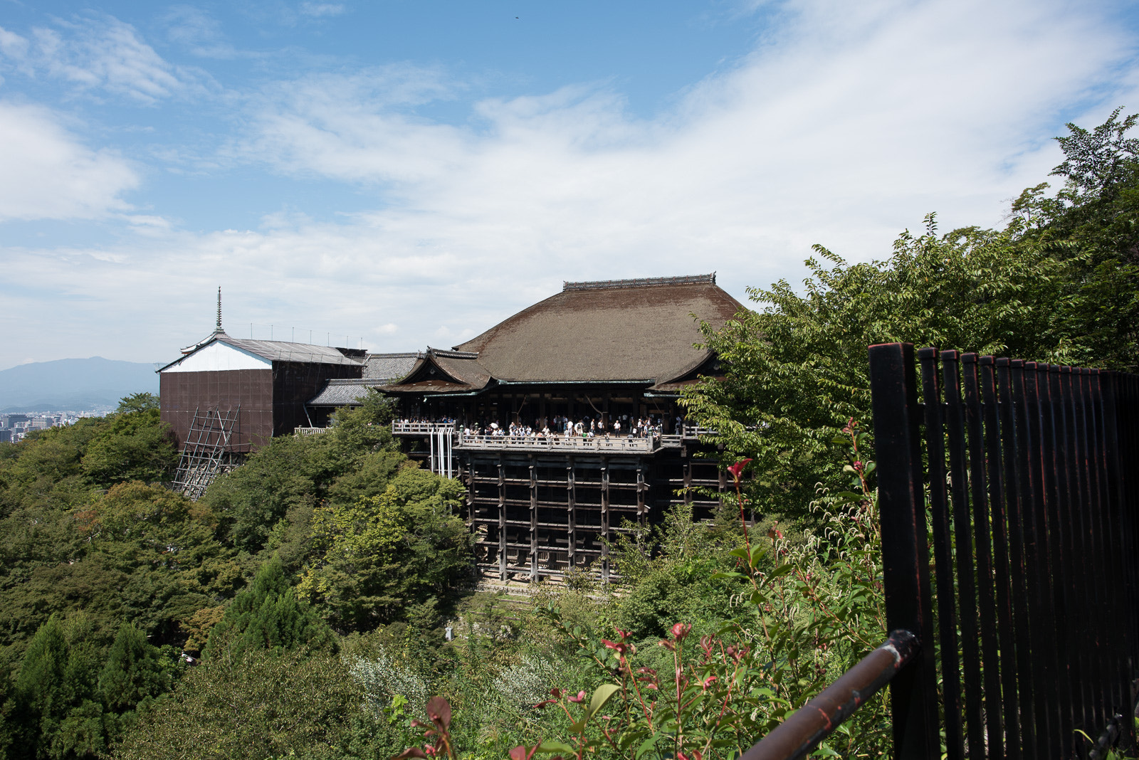 Nikon D810 + Nikon AF-S Nikkor 24mm F1.4G ED sample photo. Dsc photography