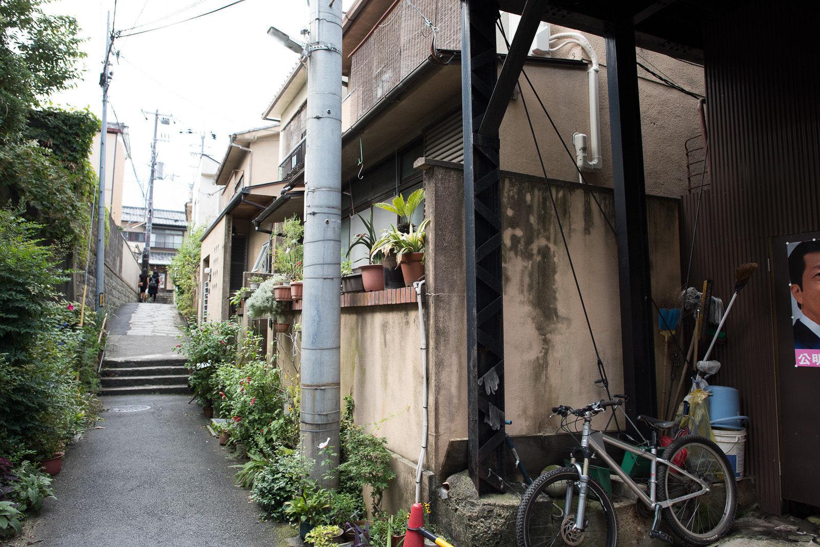 Nikon D810 + Nikon AF-S Nikkor 24mm F1.4G ED sample photo. Dsc photography