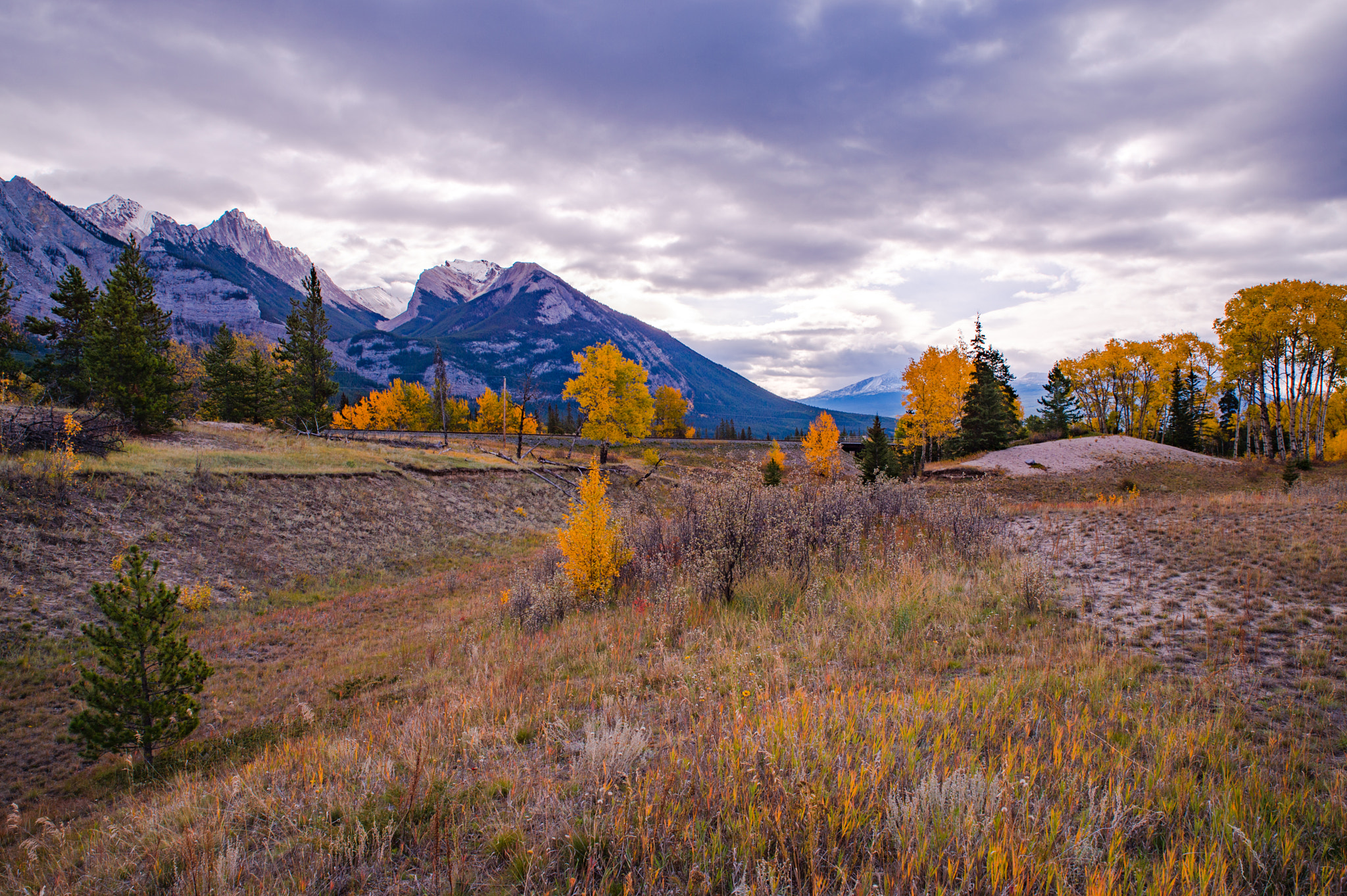 Nikon Df sample photo. Canadian rockies photography