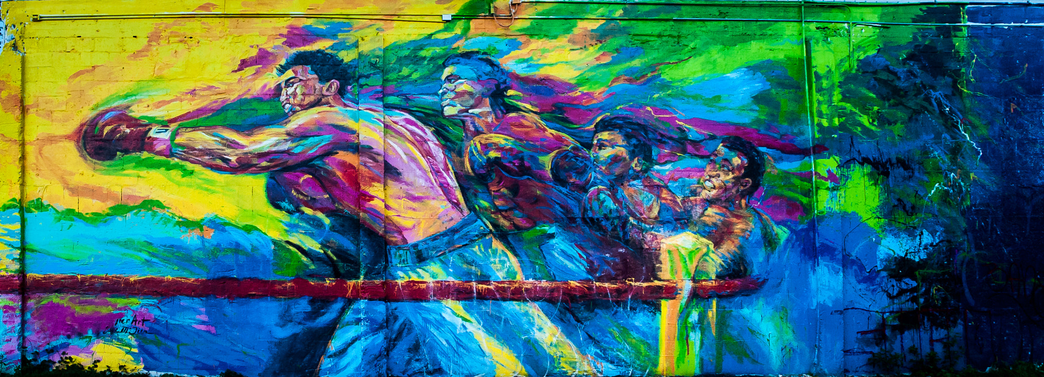 Olympus Zuiko Digital ED 12-60mm F2.8-4.0 SWD sample photo. Wynwood photography