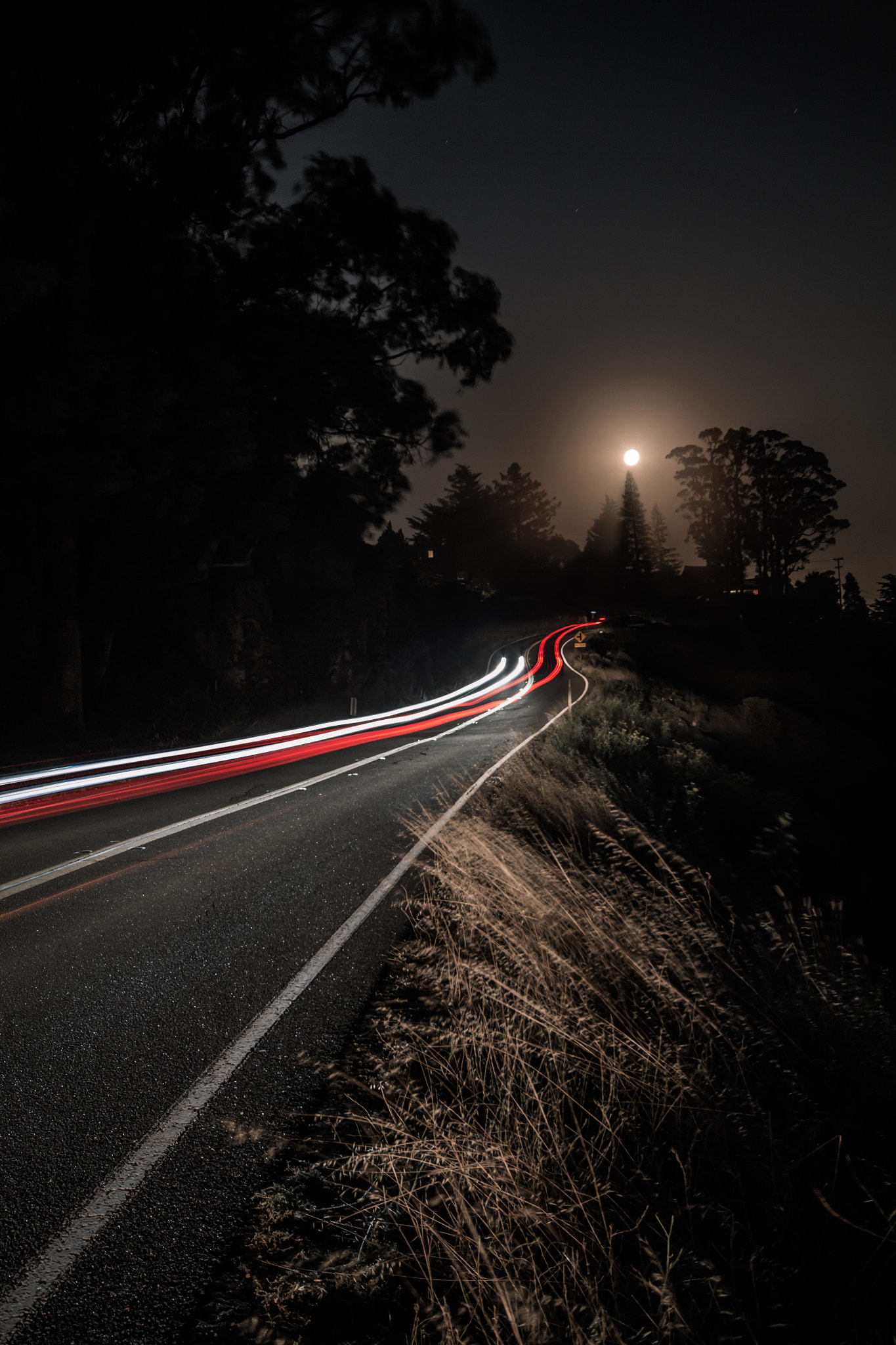 Sigma 10-20mm F4-5.6 EX DC HSM sample photo. Crossing lines photography