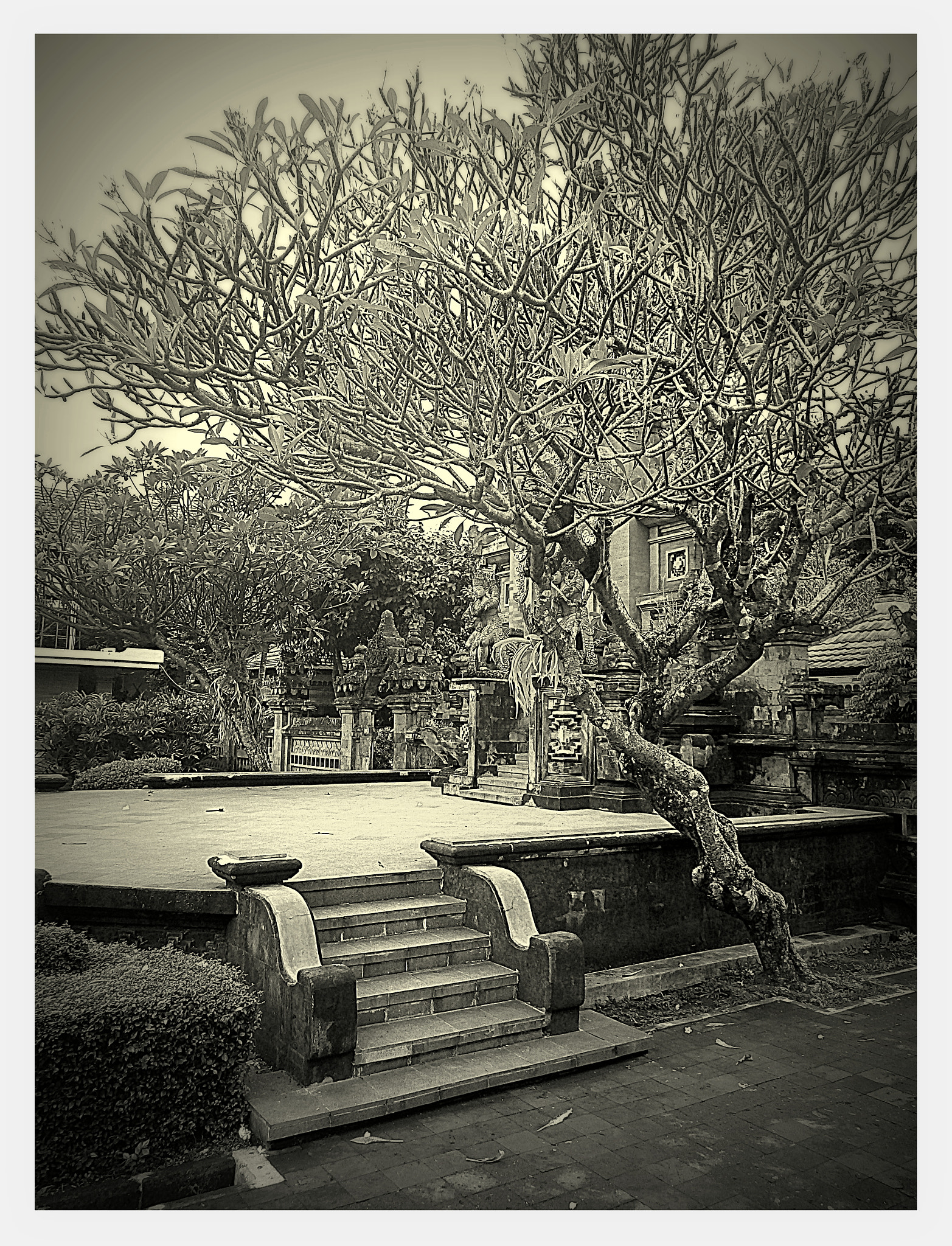 Ricoh WG-4 sample photo. Backyard of pura photography