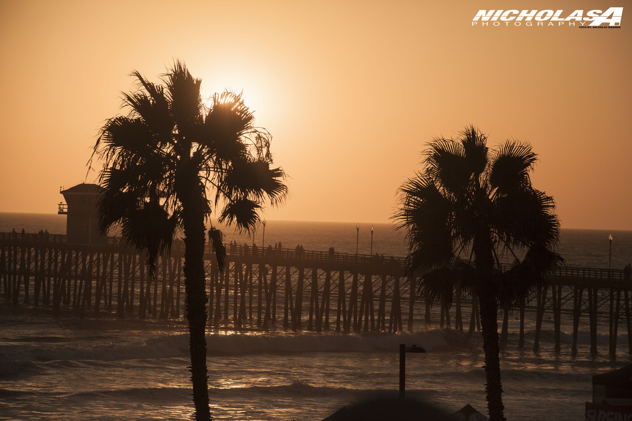 Canon EF 75-300mm f/4-5.6 USM sample photo. Palms photography