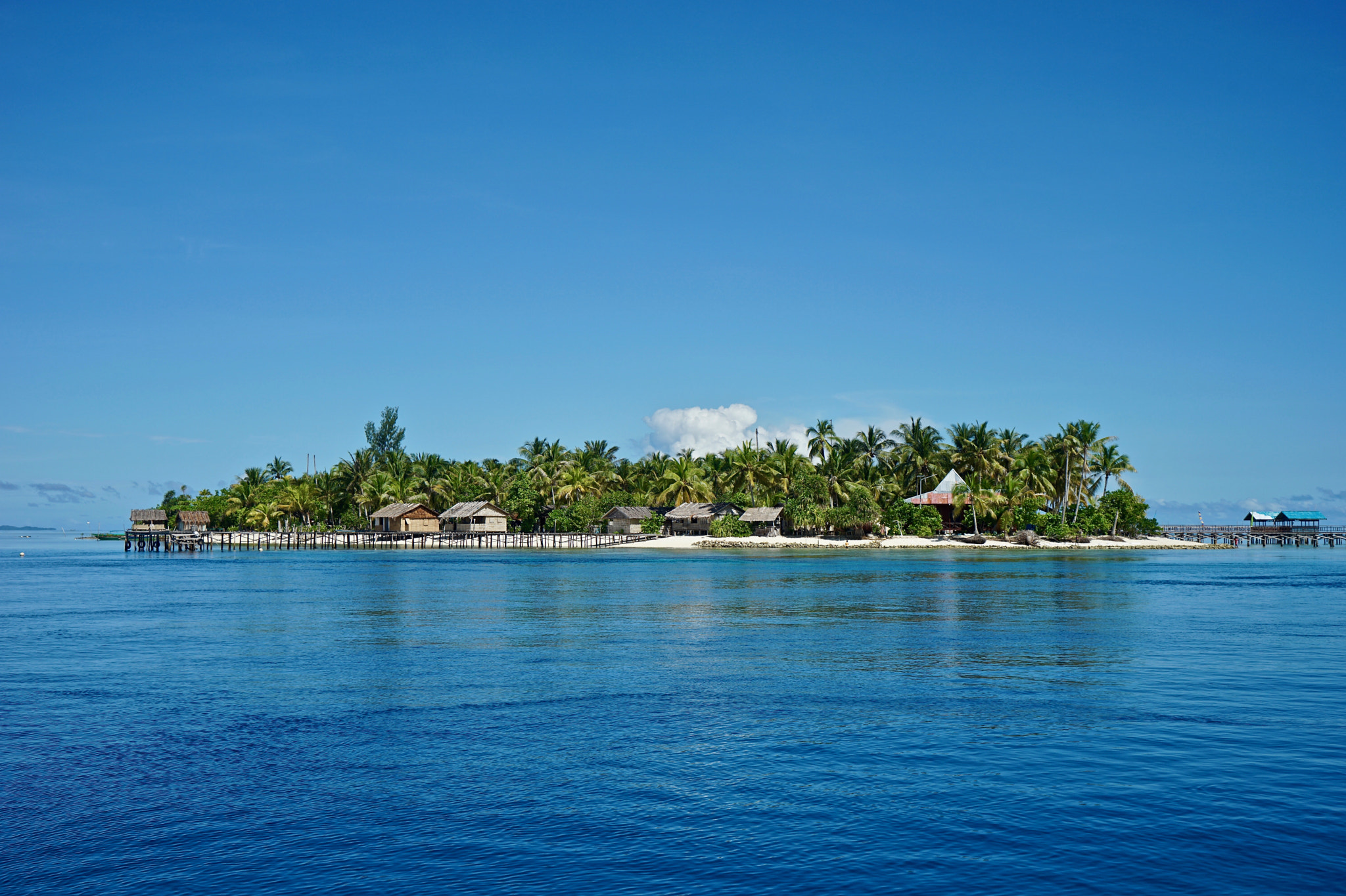 Sony a7 II + Sony Vario Tessar T* FE 24-70mm F4 ZA OSS sample photo. Traumhafte insel,  raja ampat, indonesien photography