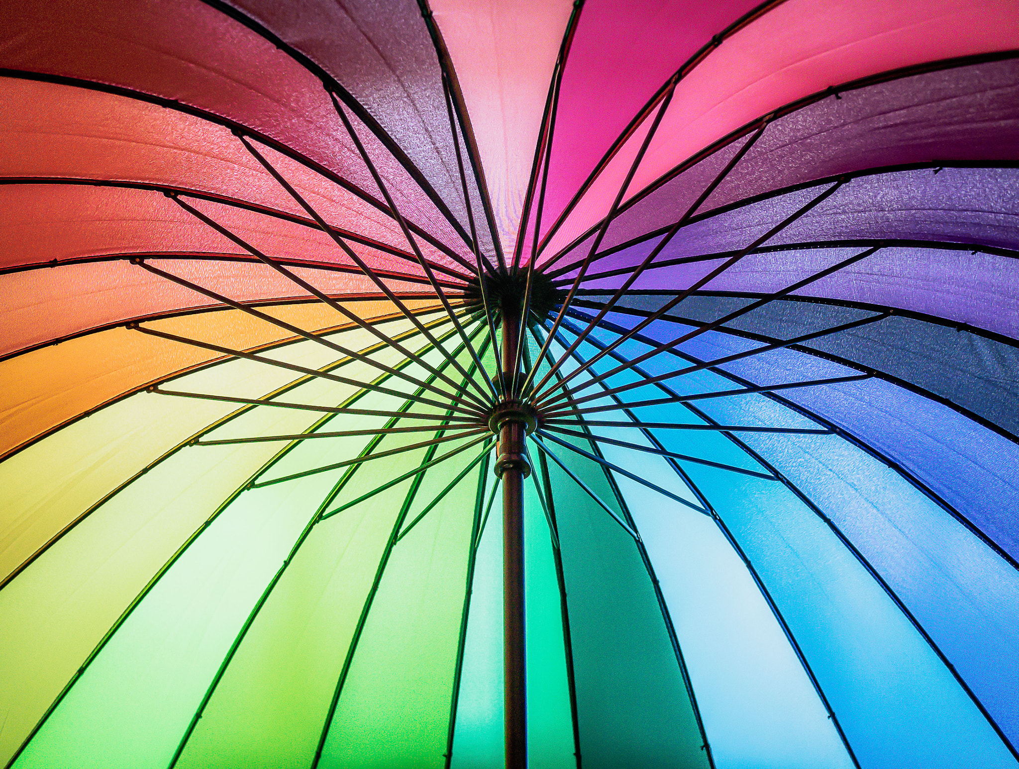 Olympus OM-D E-M1 + Olympus M.Zuiko Digital 25mm F1.8 sample photo. Somewhere under a rainbow photography