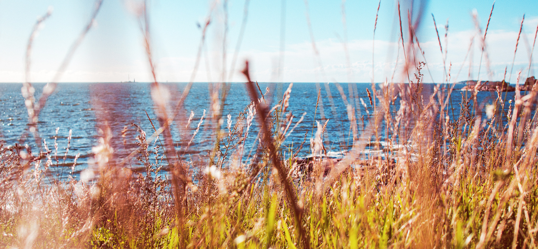 Canon EOS 700D (EOS Rebel T5i / EOS Kiss X7i) + Canon EF 24mm F2.8 sample photo. Suomenlinna photography