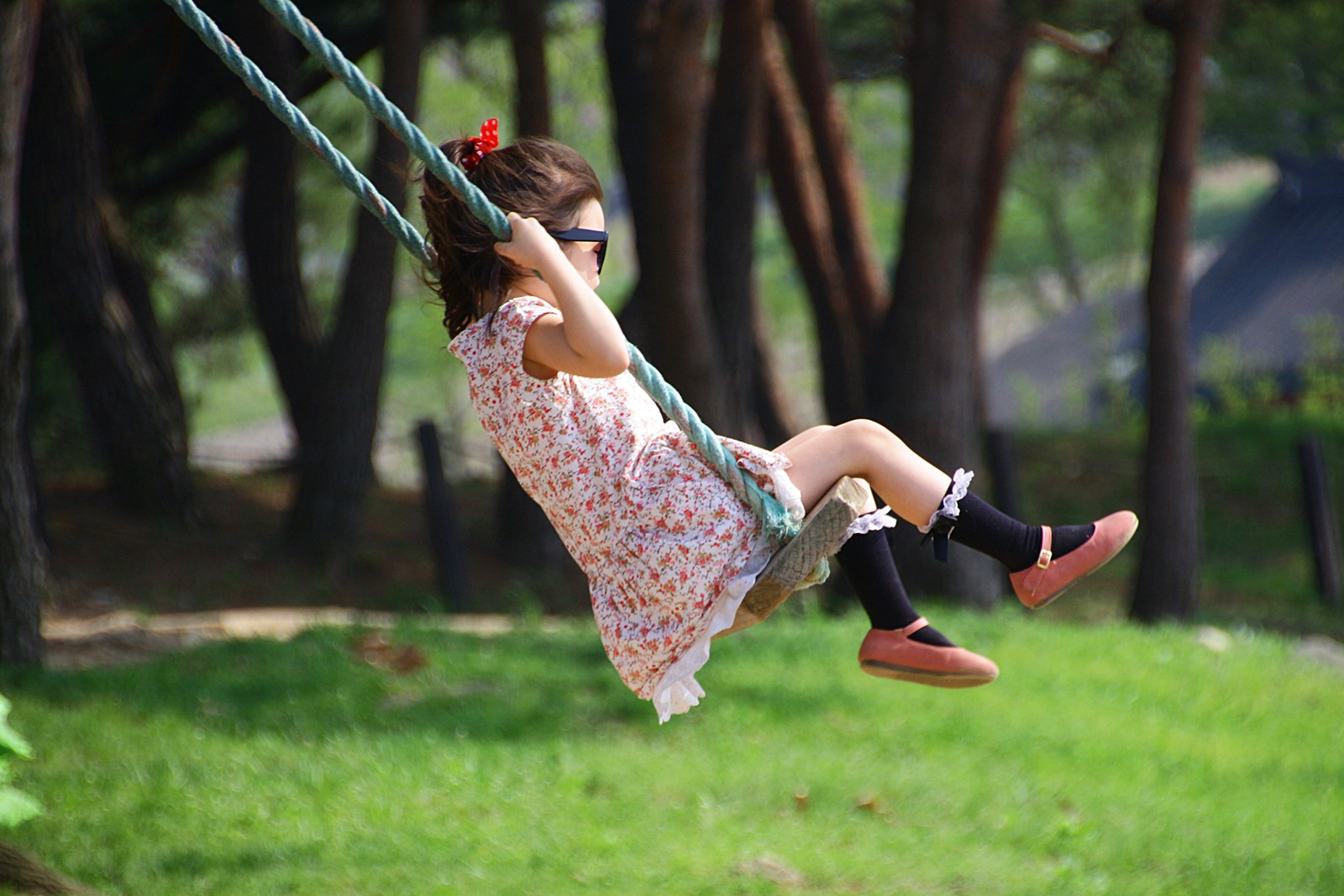 Canon EOS 650D (EOS Rebel T4i / EOS Kiss X6i) sample photo. Swing photography