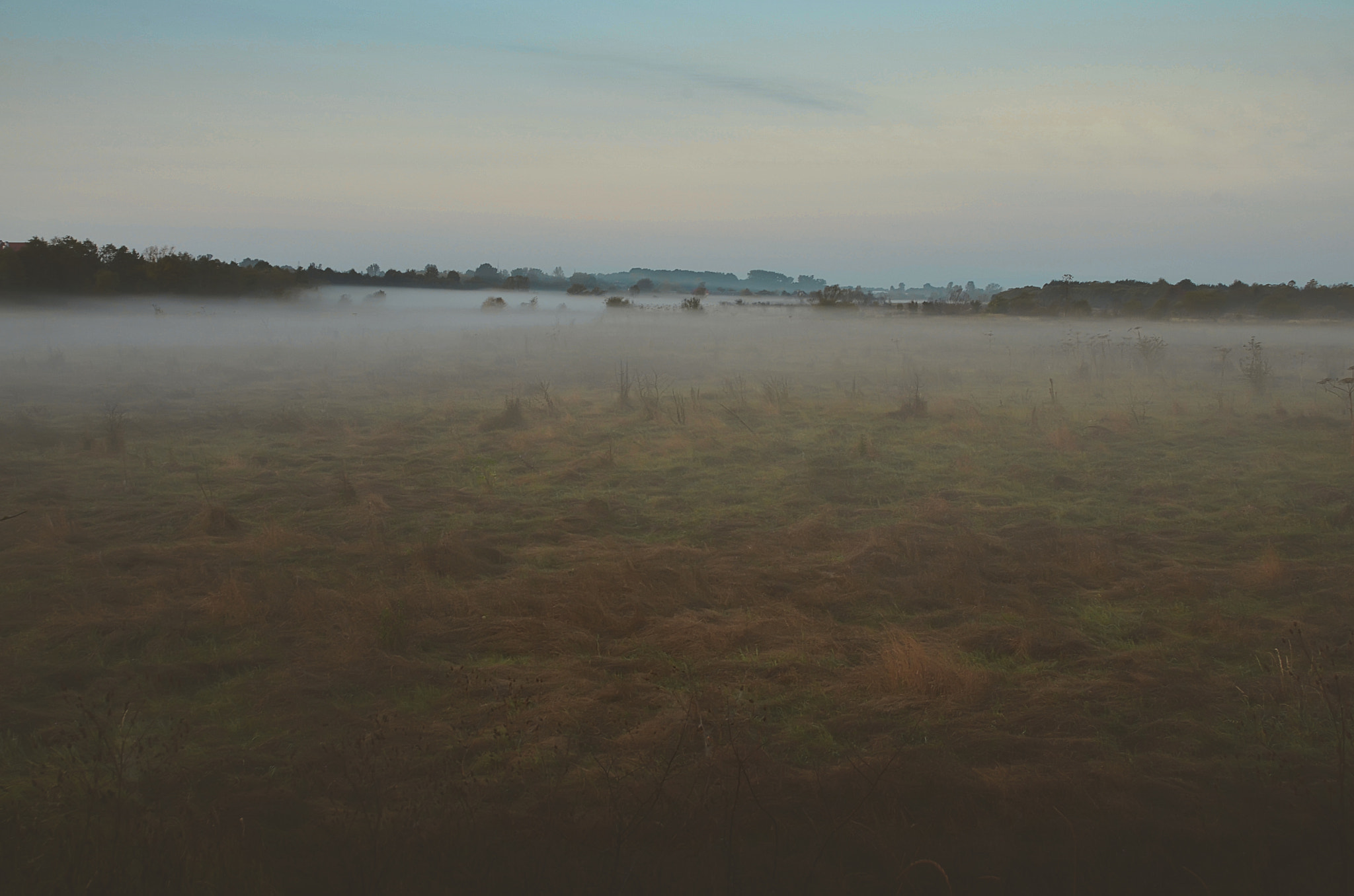 Nikon AF Nikkor 24-85mm F2.8-4D IF sample photo. Fog photography