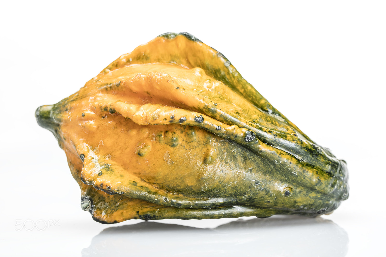 Canon EF 100mm F2.8L Macro IS USM sample photo. Stilllife gourd() photography
