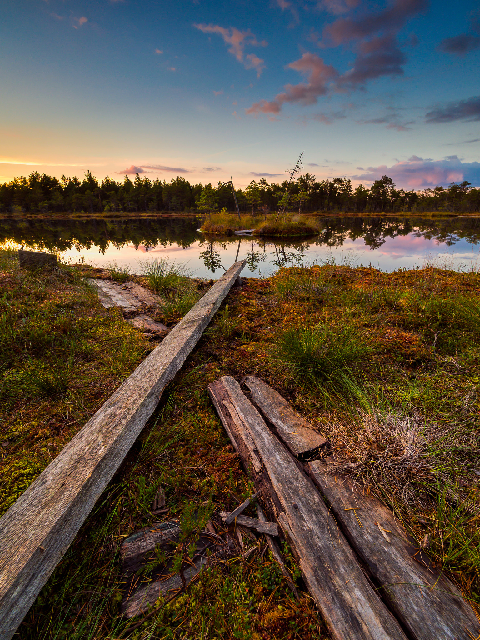 Olympus OM-D E-M5 + Olympus M.Zuiko Digital ED 7-14mm F2.8 PRO sample photo. Beautiful swamp landscape on a hiking trail. photography