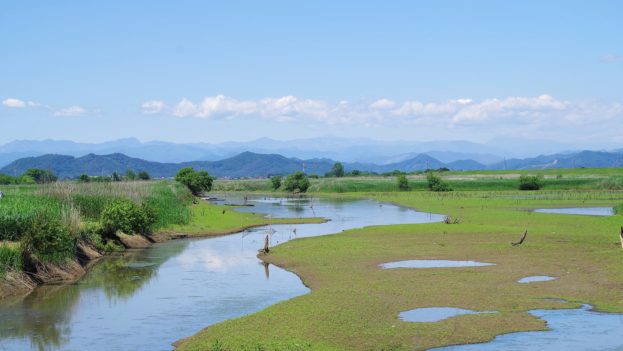 Pentax K-S2 sample photo. 渡良瀬遊水池 photography