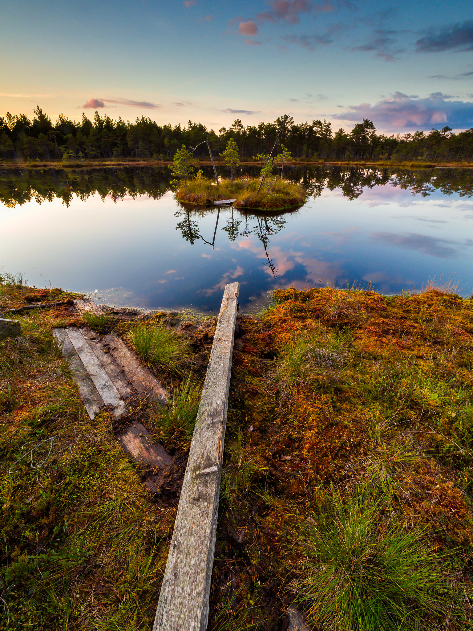 Olympus OM-D E-M5 + Olympus M.Zuiko Digital ED 7-14mm F2.8 PRO sample photo. Beautiful swamp landscape on a hiking trail. photography