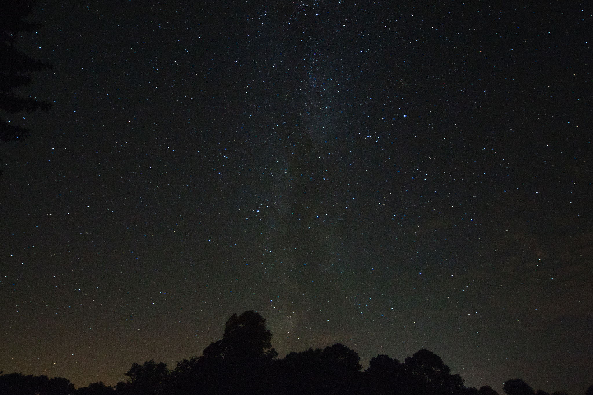 Canon EOS-1D Mark III sample photo. Milkyway photography