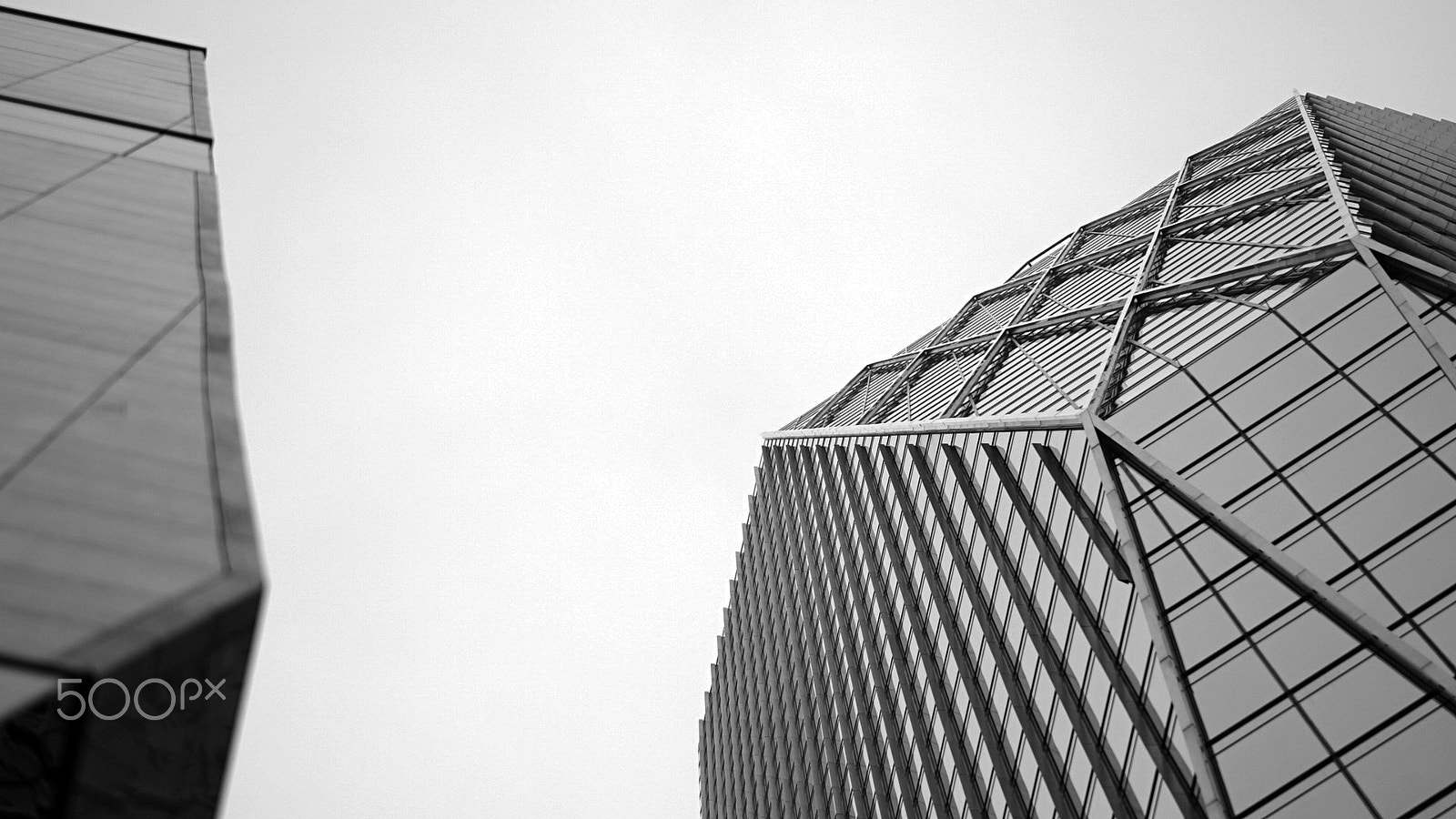 Sony a7S II + Sony FE 85mm F1.4 GM sample photo. Your future is calling...again photography