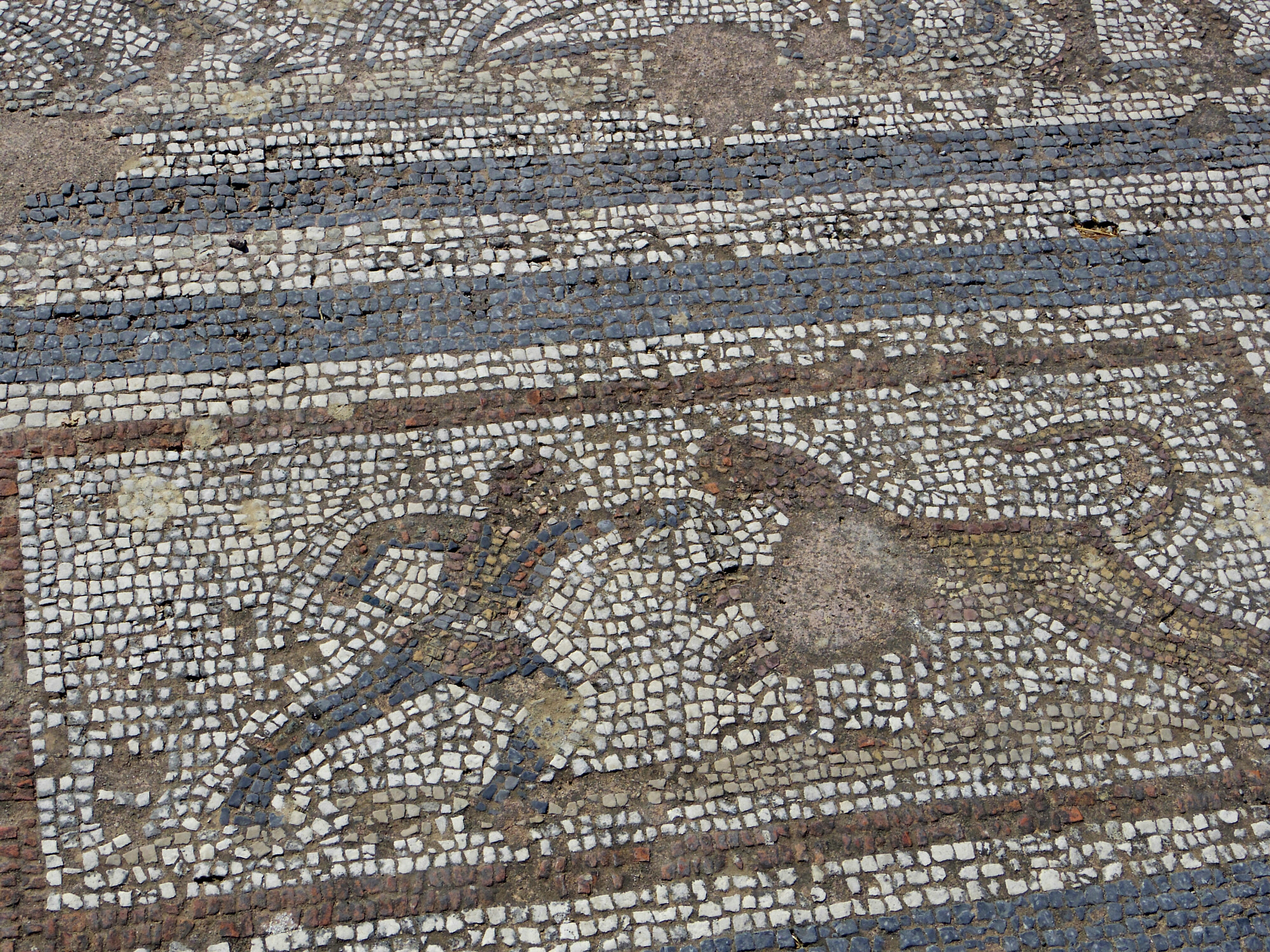 Pentax Q sample photo. Detail from mosaic floor. ancient ruins, kos photography