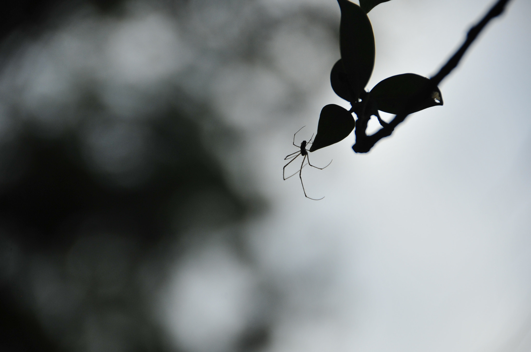 Nikon D3 sample photo. .. photography