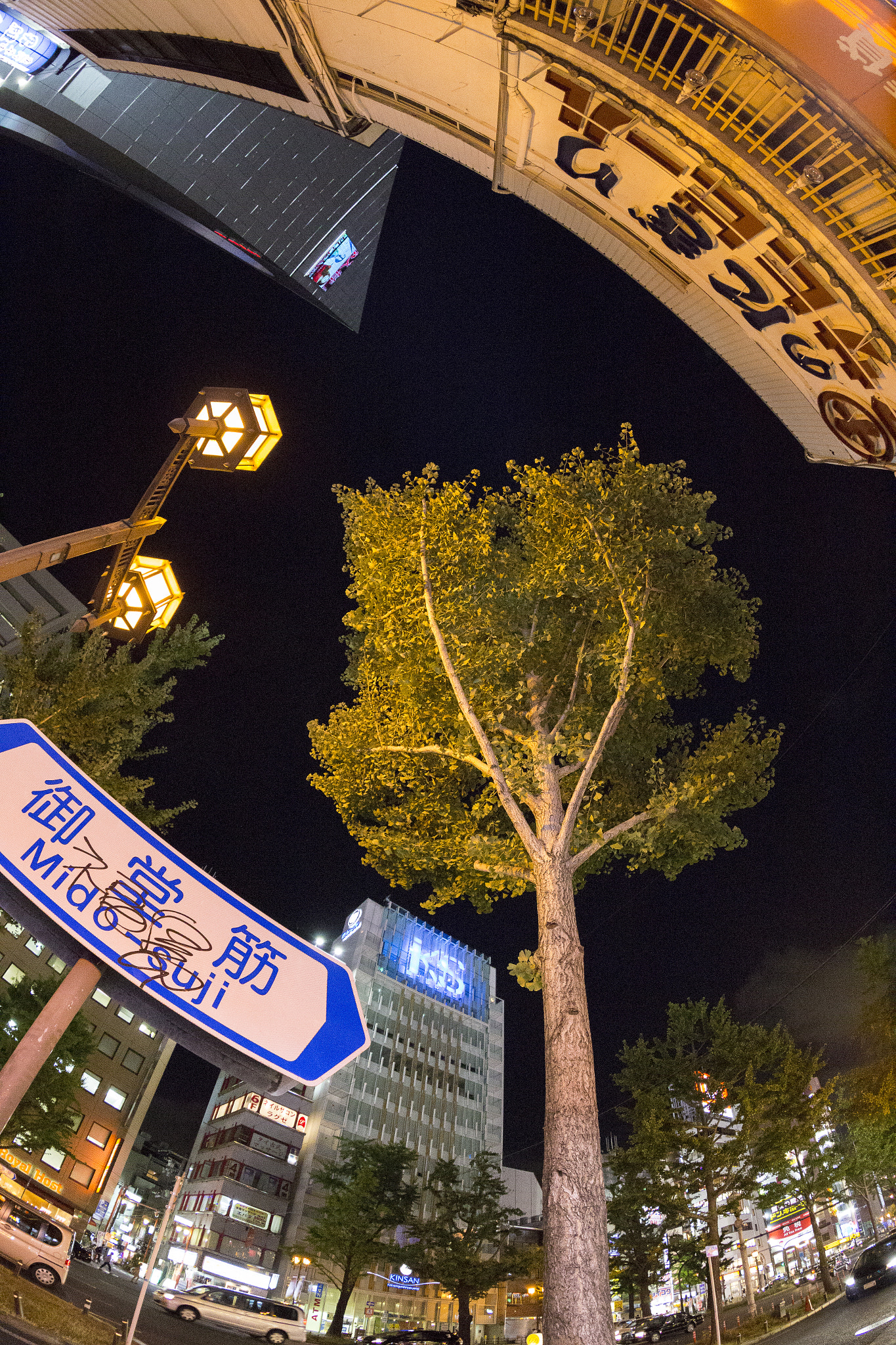 Canon EOS 6D + Canon EF 8-15mm F4L Fisheye USM sample photo. Japon photography