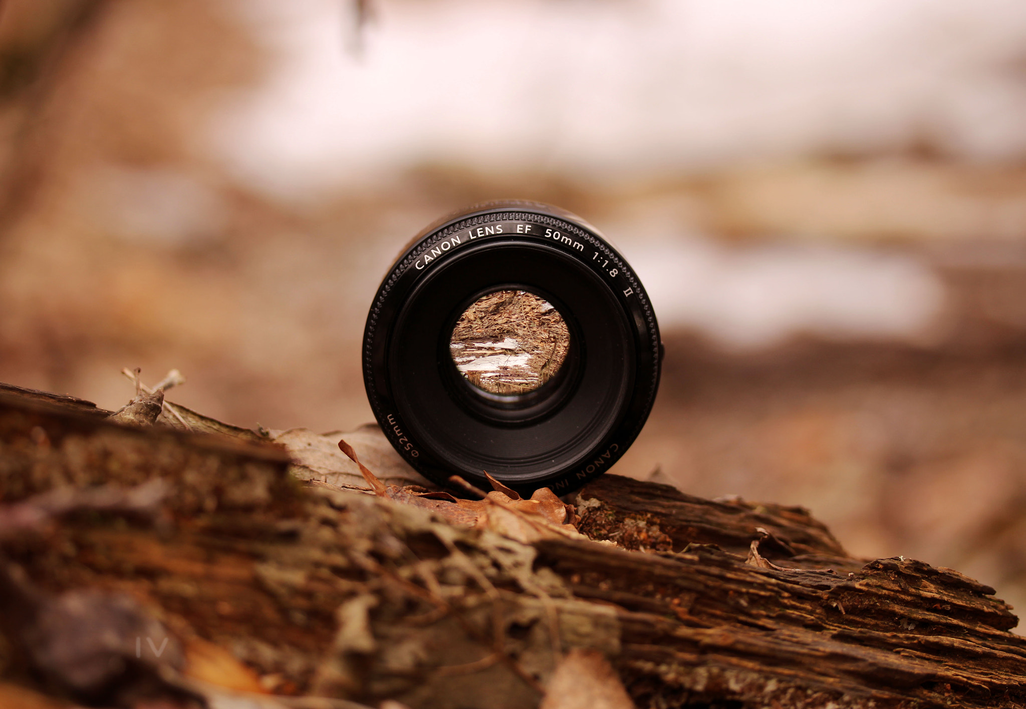 Canon EF-S 60mm F2.8 Macro USM sample photo. 60mm of 50mm photography