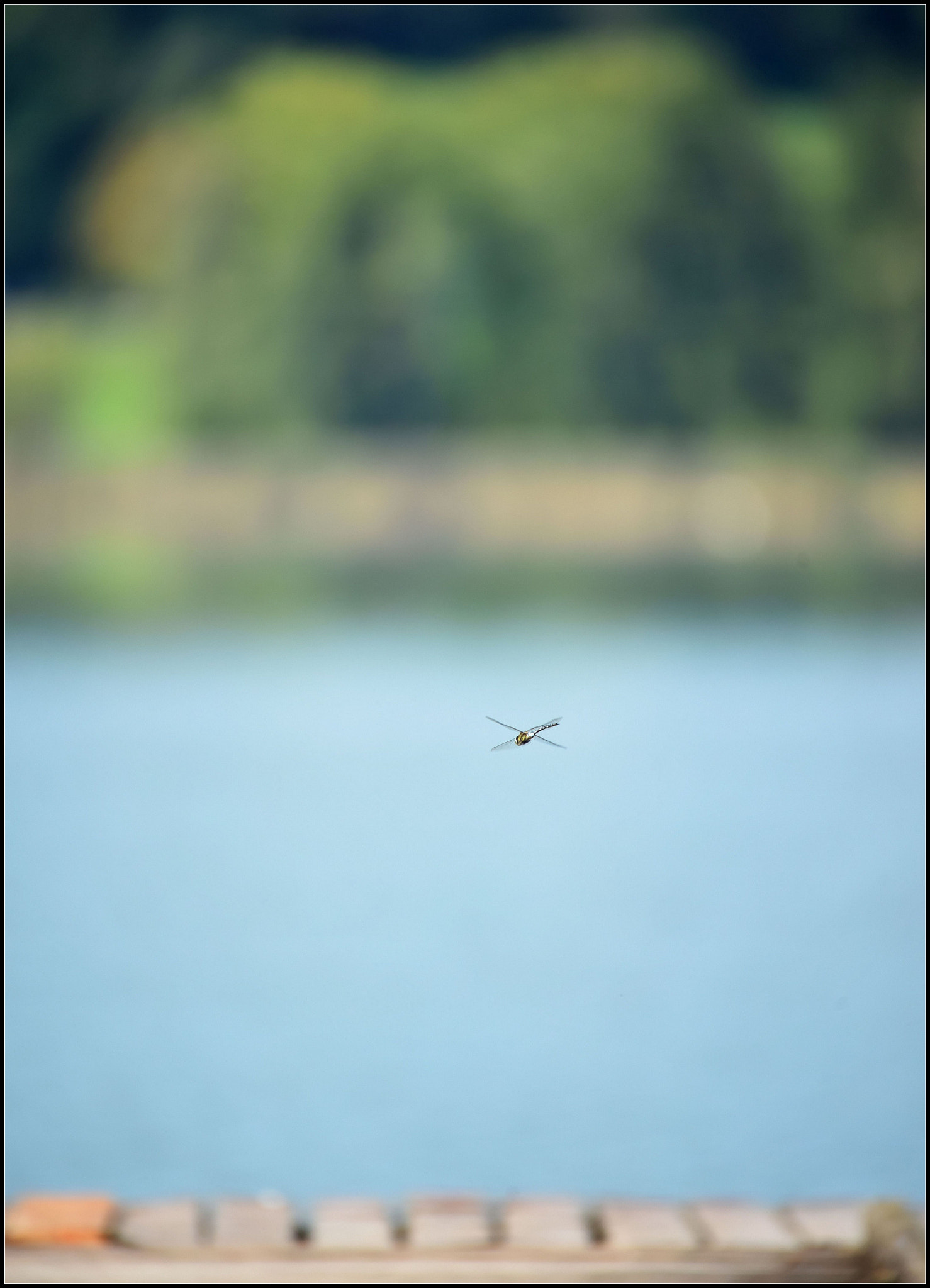 Sigma 50-500mm F4.5-6.3 DG OS HSM sample photo. Beobachtung aus der ferne photography
