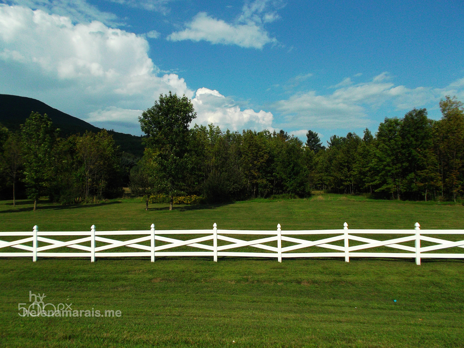 Fujifilm FinePix JX520 sample photo. White fence photography