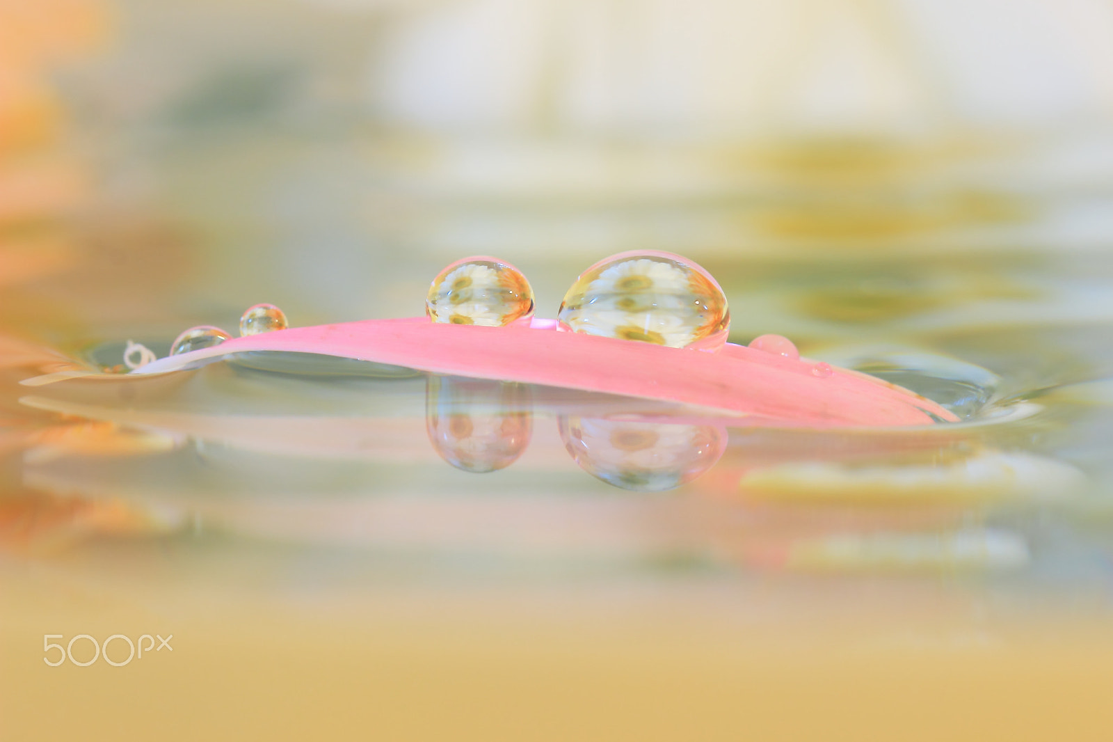 Canon EF 100mm F2.8 Macro USM sample photo. Riding a boat photography