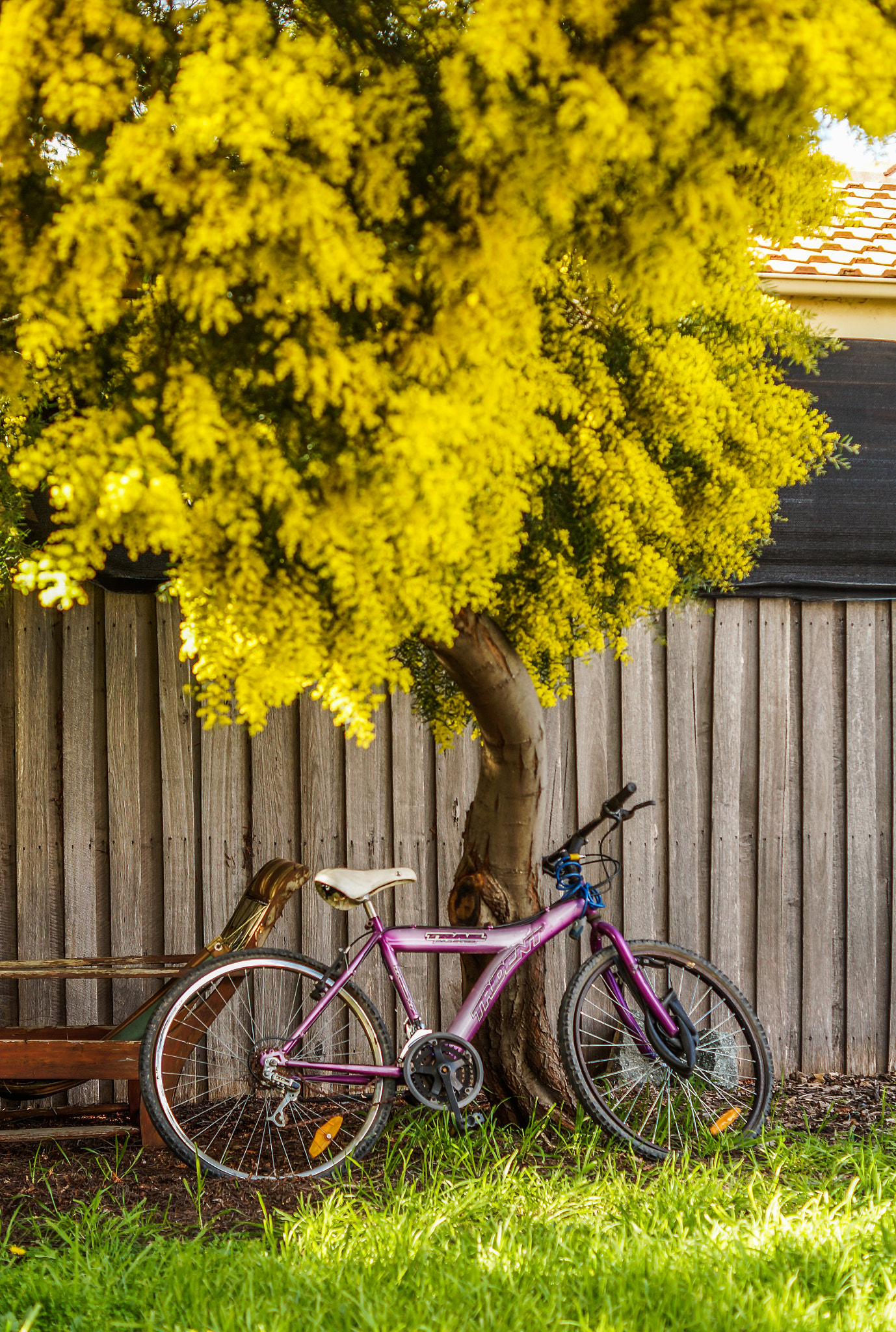 Sony SLT-A57 sample photo. Spring is here photography