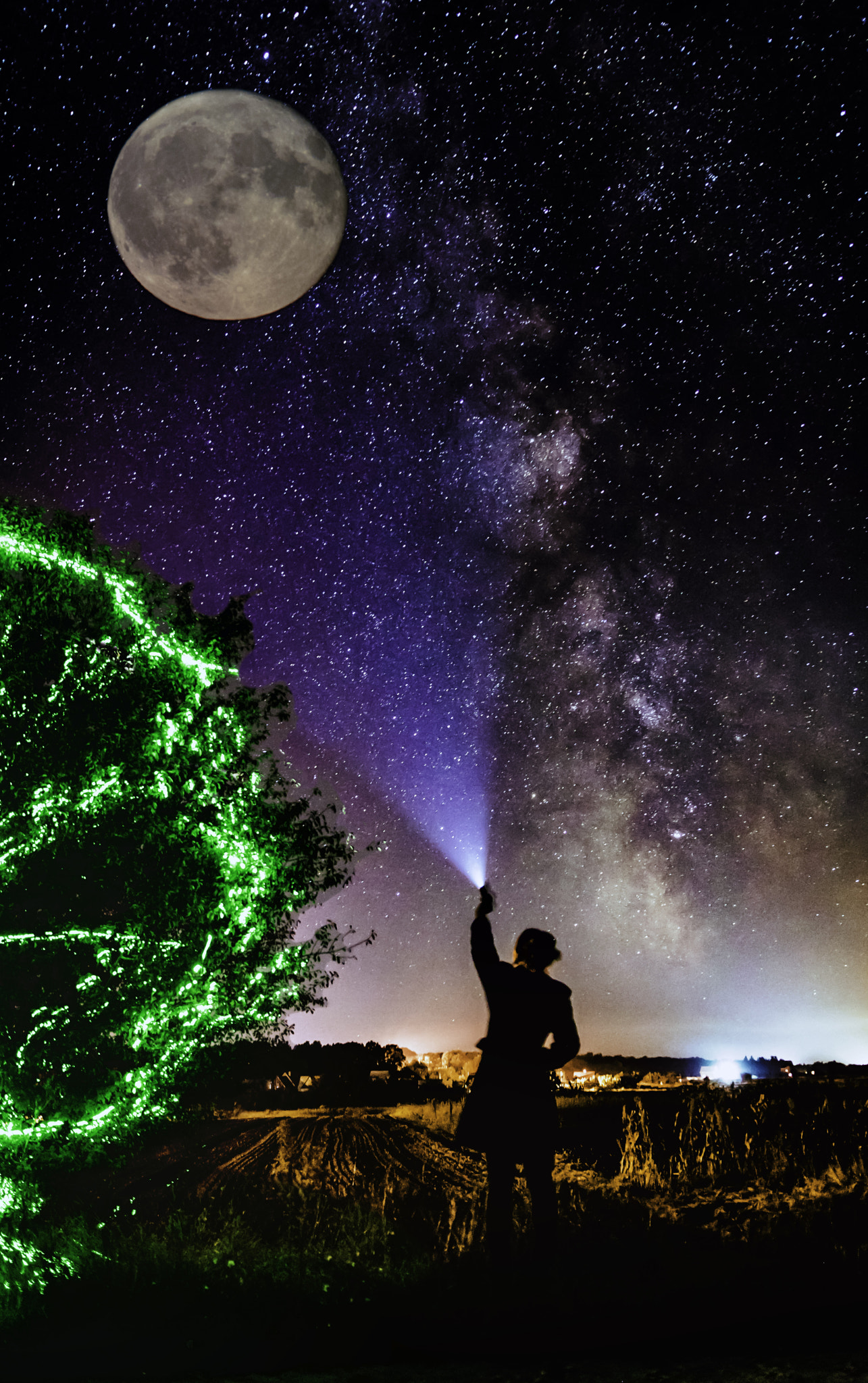 Sigma 18-35mm f/1.8 DC HSM sample photo. Night, tree, moon, light photography