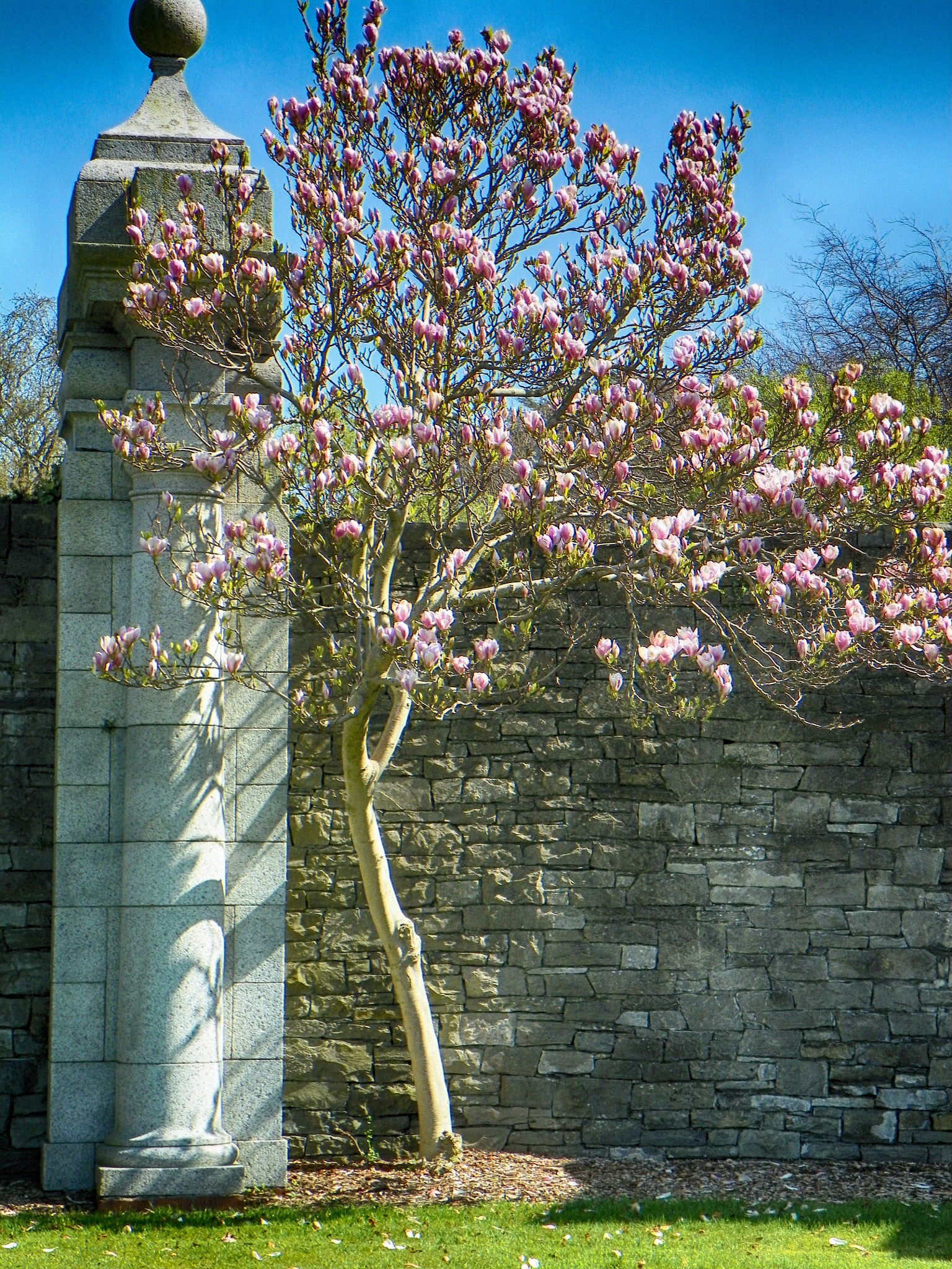 Kodak EasyShare Z981 sample photo. Irish national war memorial gardens photography