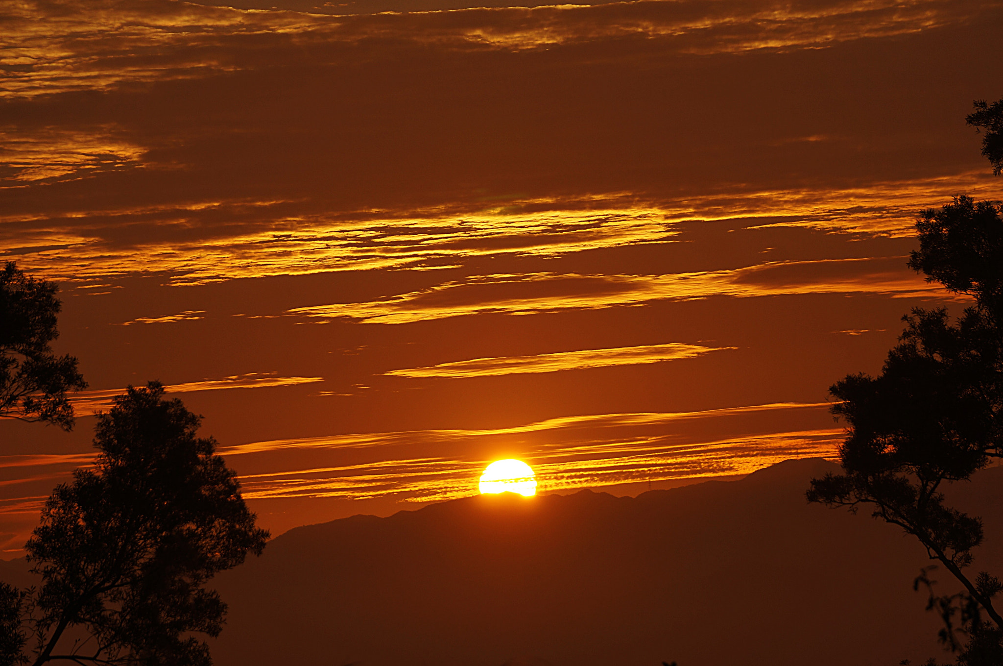 Sony Alpha NEX-5N sample photo. Sunrise at hl405. photography