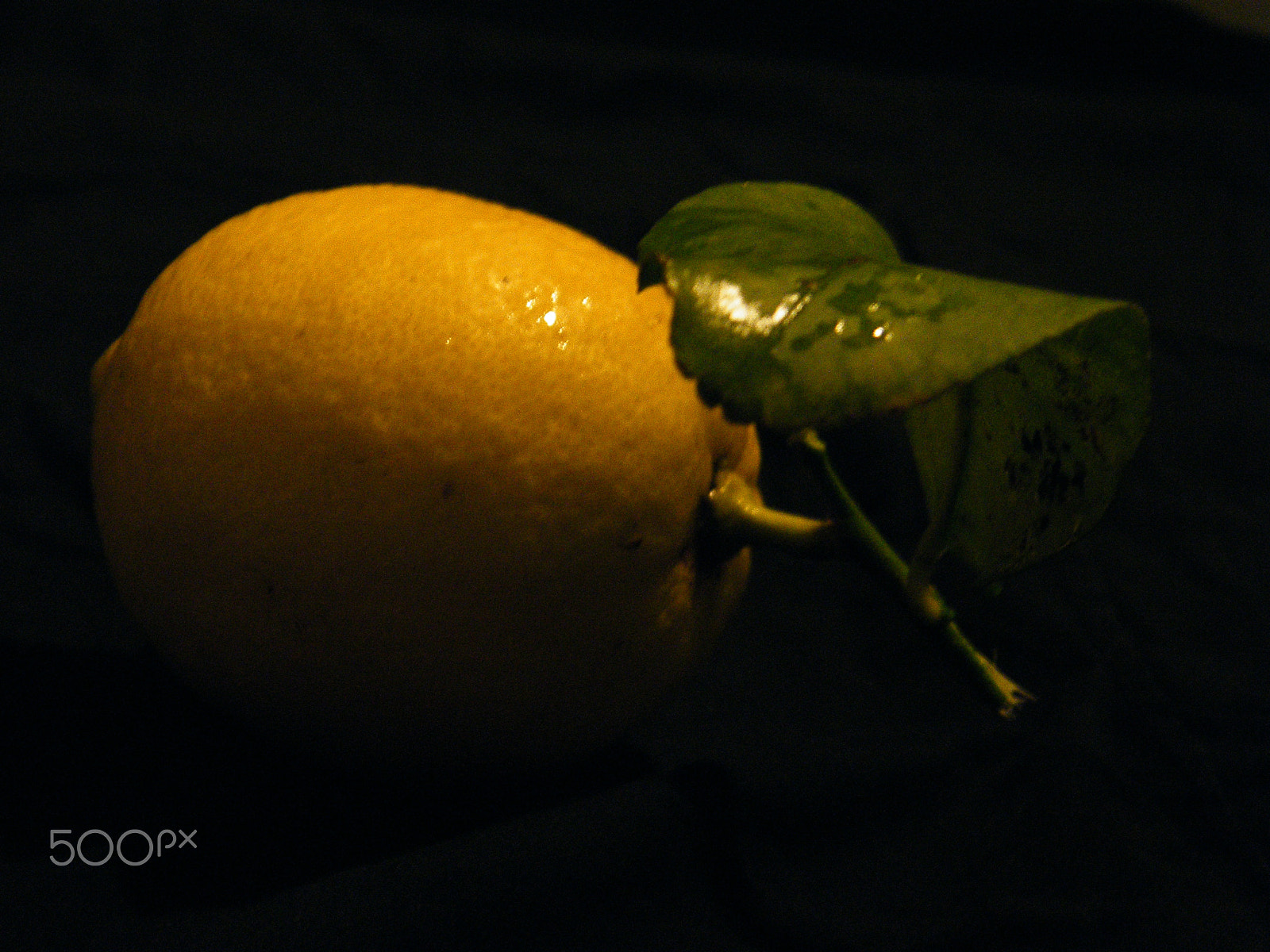 Fujifilm FinePix S2000HD sample photo. Do you want a lemon? photography