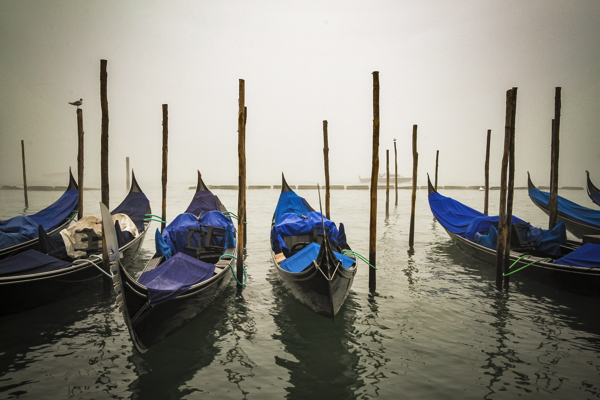 Canon EOS 500D (EOS Rebel T1i / EOS Kiss X3) sample photo. Venice photography