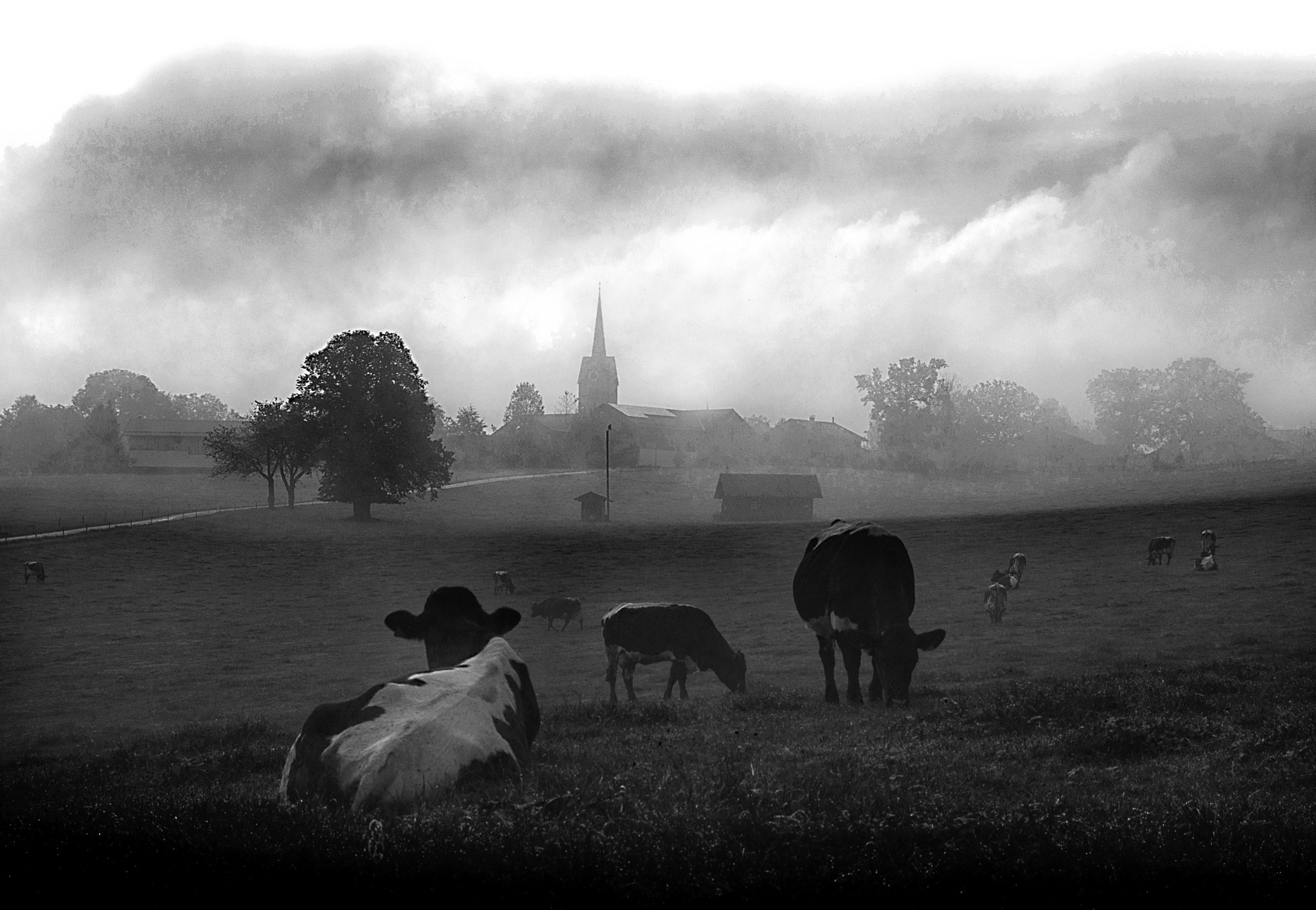 Sony SLT-A77 + Tamron AF 28-105mm F4-5.6 [IF] sample photo. Morning fog photography