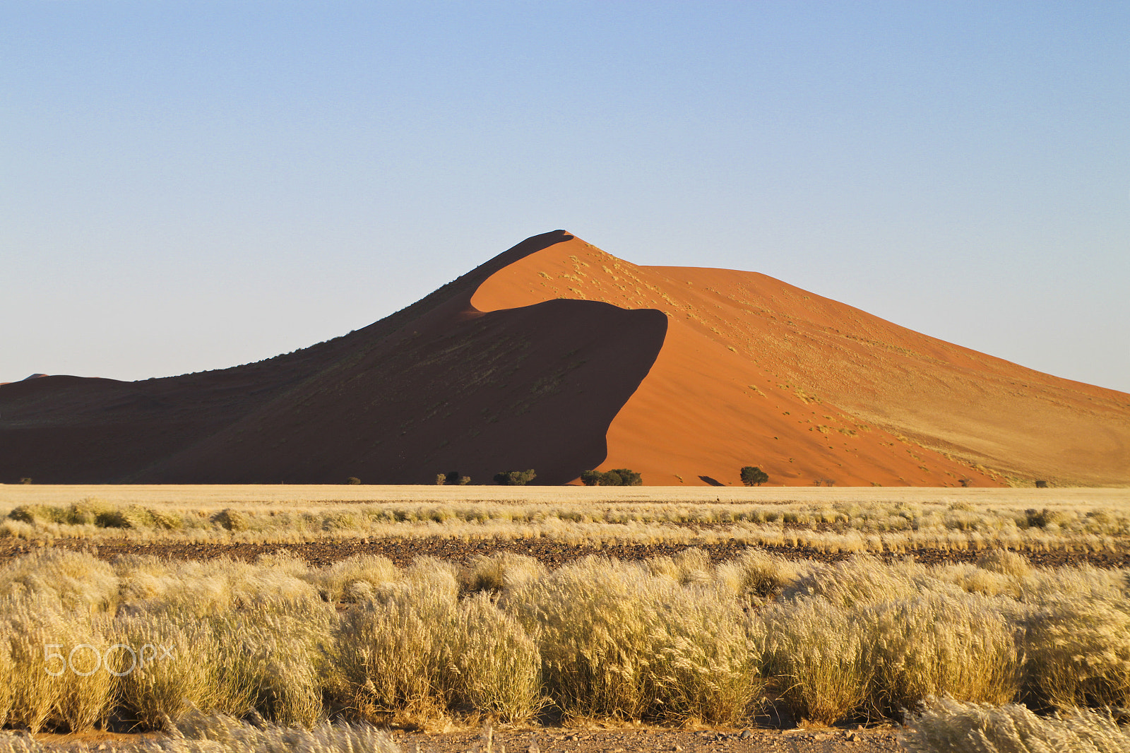 Sigma 18-200mm f/3.5-6.3 DC OS sample photo. Dune no 14 – namibia photography