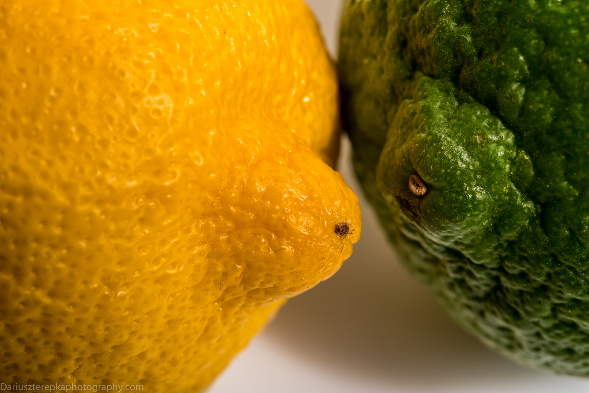 Nikon D750 + AF Micro-Nikkor 60mm f/2.8 sample photo. Lime and lemon love photography