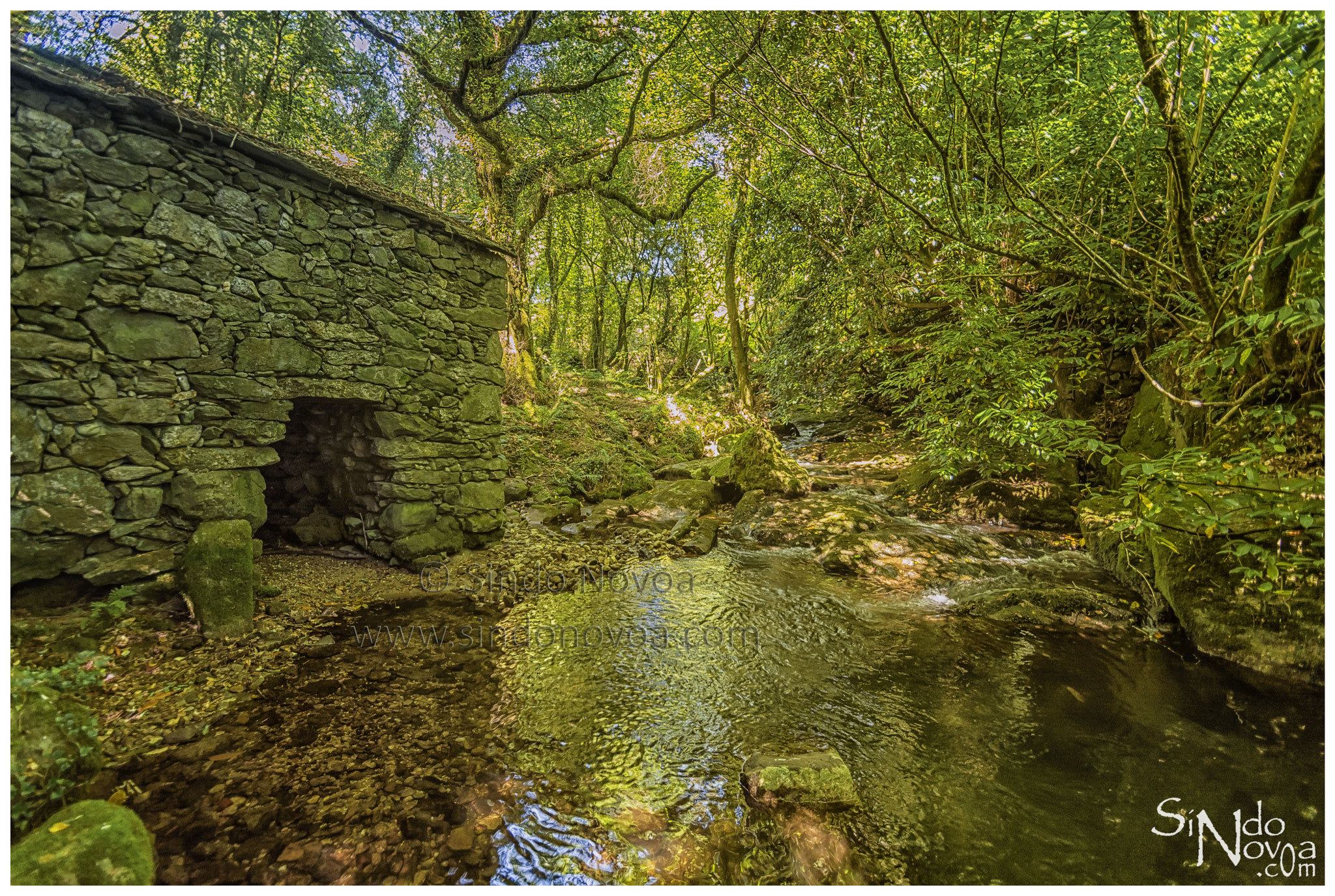 Nikon D5200 + Tamron SP AF 10-24mm F3.5-4.5 Di II LD Aspherical (IF) sample photo. Molino en sabucedo photography