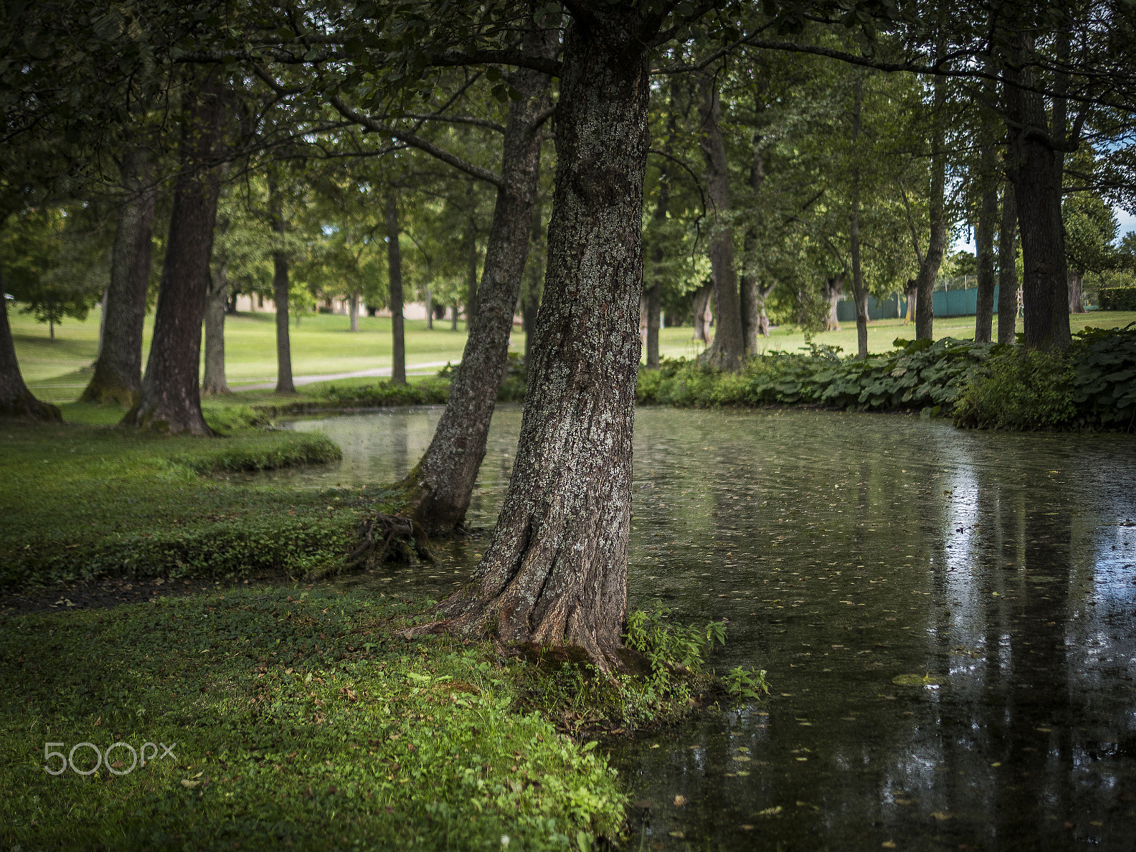 Panasonic Lumix DMC-GX8 + Panasonic Leica DG Summilux 25mm F1.4 II ASPH sample photo. By the lake photography
