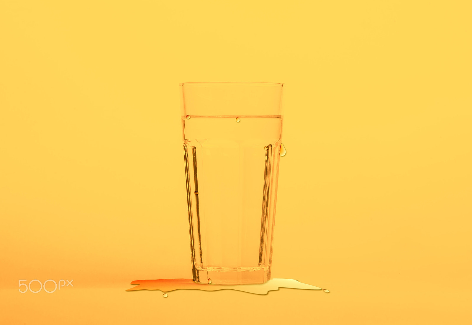 Nikon D800 + Sigma 105mm F2.8 EX DG Macro sample photo. Yellow water photography