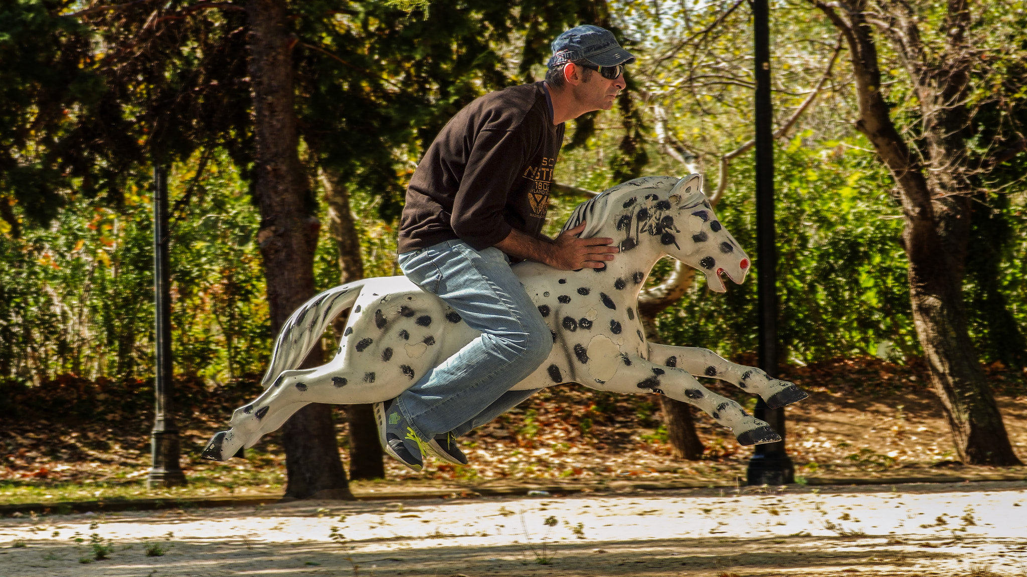 Fujifilm FinePix S6000fd sample photo. Equestrianism photography