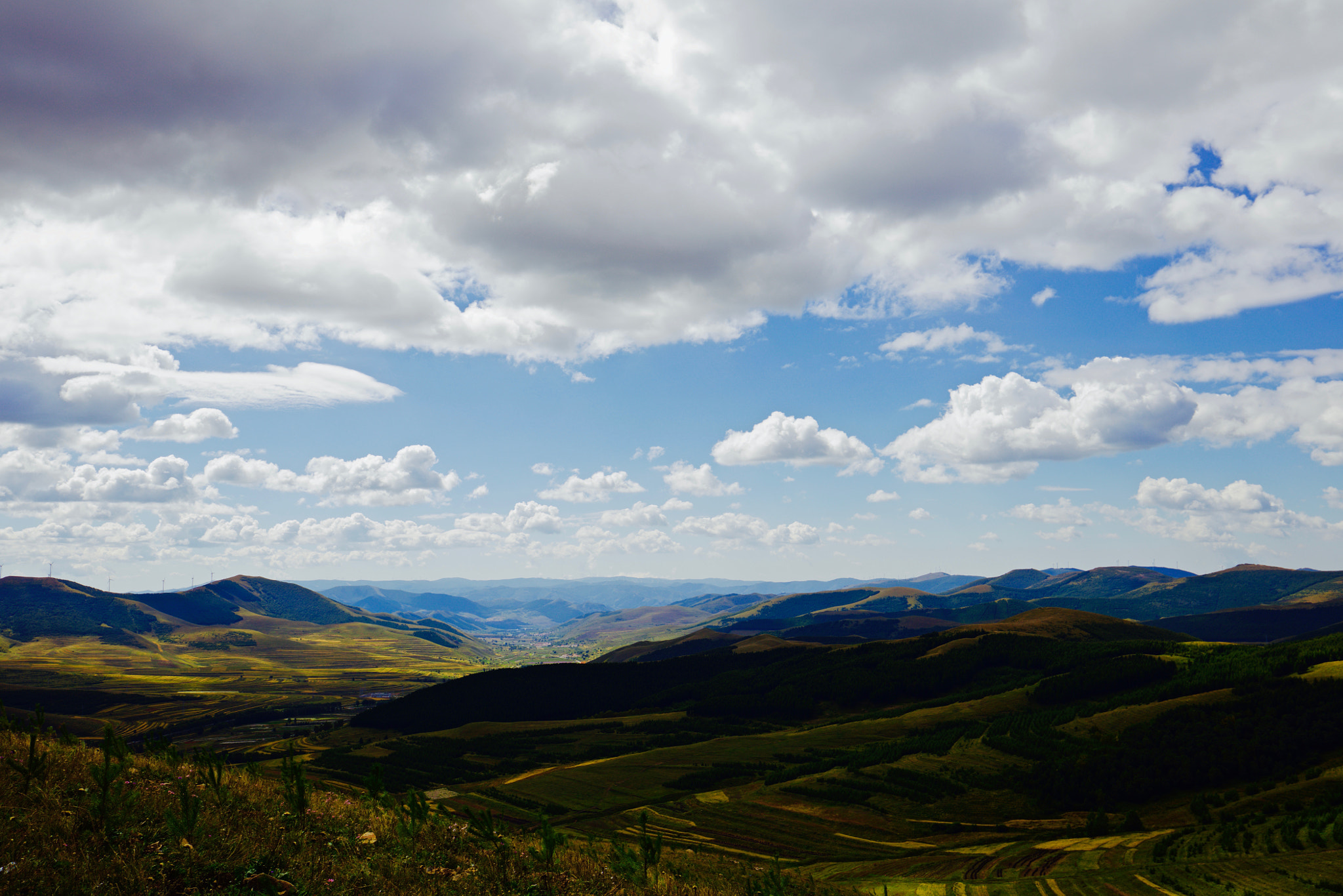 Canon EOS 5DS R + Canon EF 16-35mm F4L IS USM sample photo