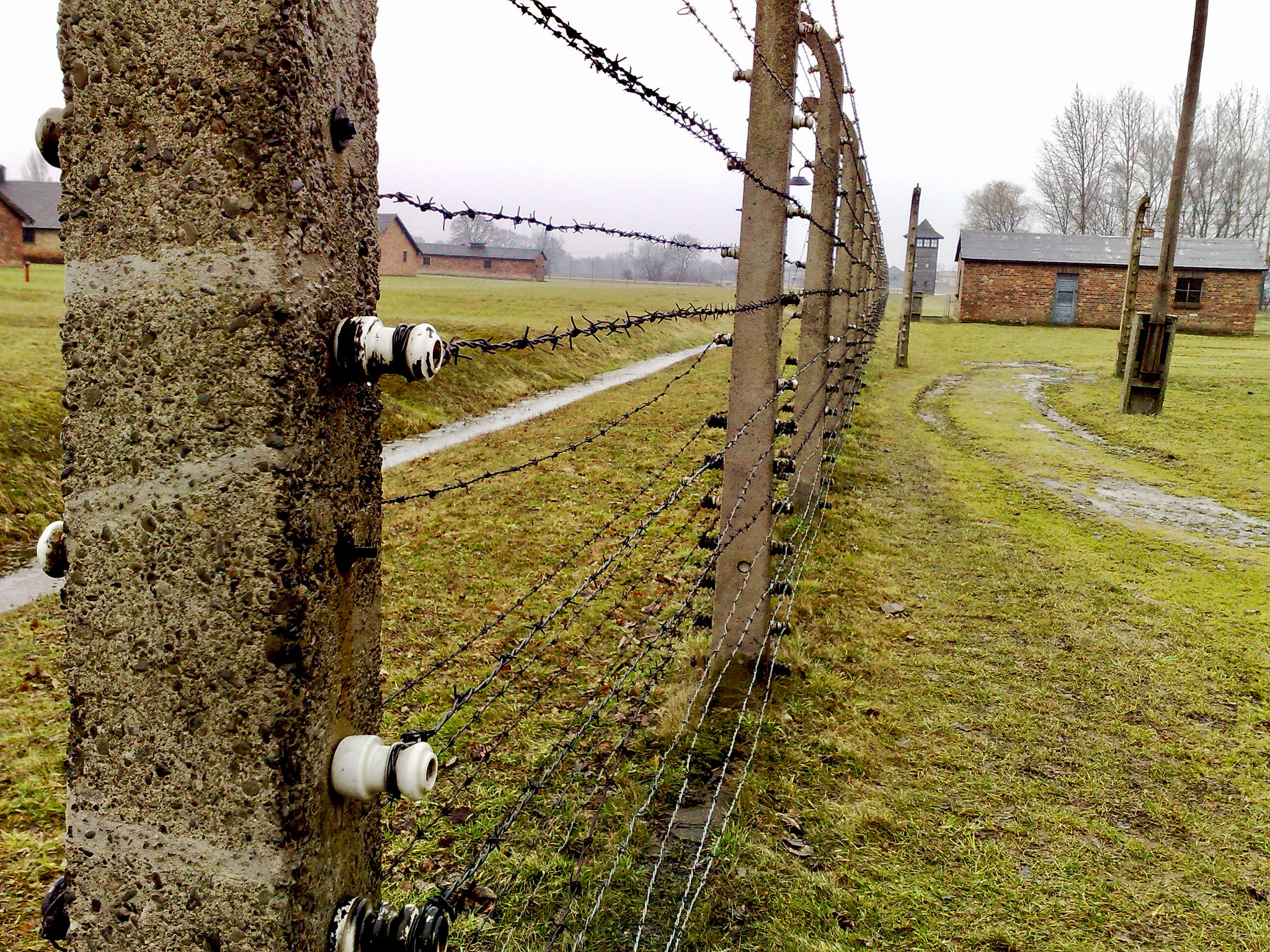 Nokia N95 sample photo. Barbed wire photography