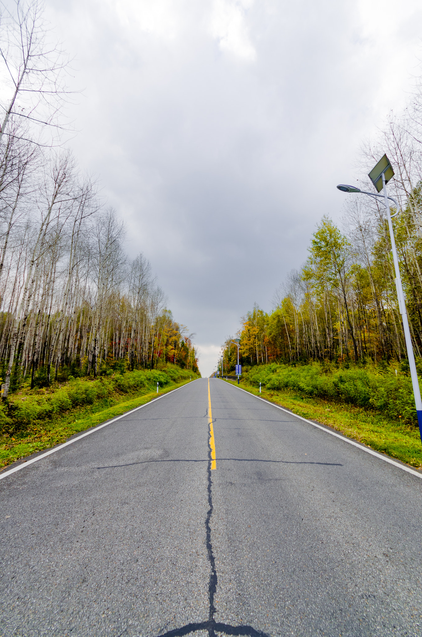 Pentax K-50 sample photo. Road photography