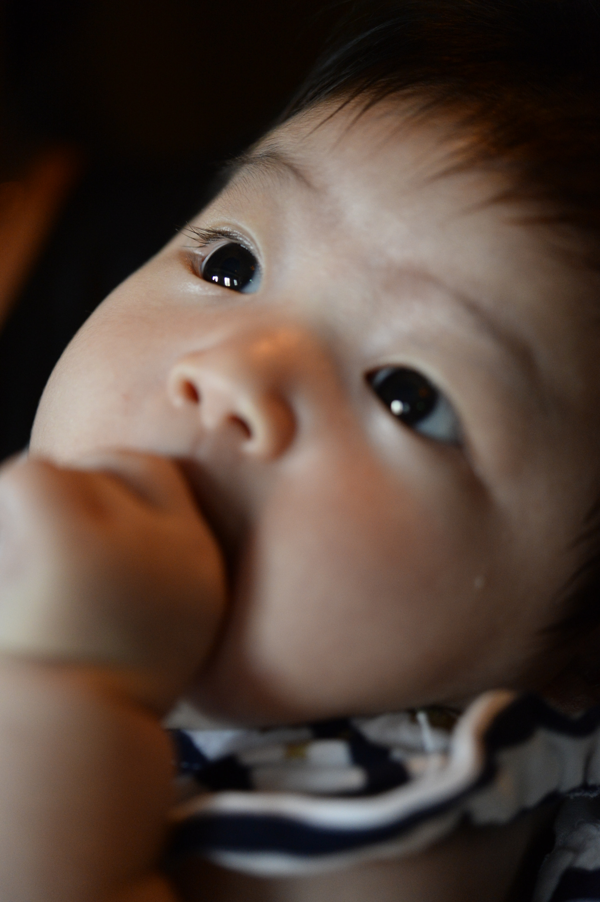 Nikon Df sample photo. Portrait of hana-chan who is three months old :-) photography