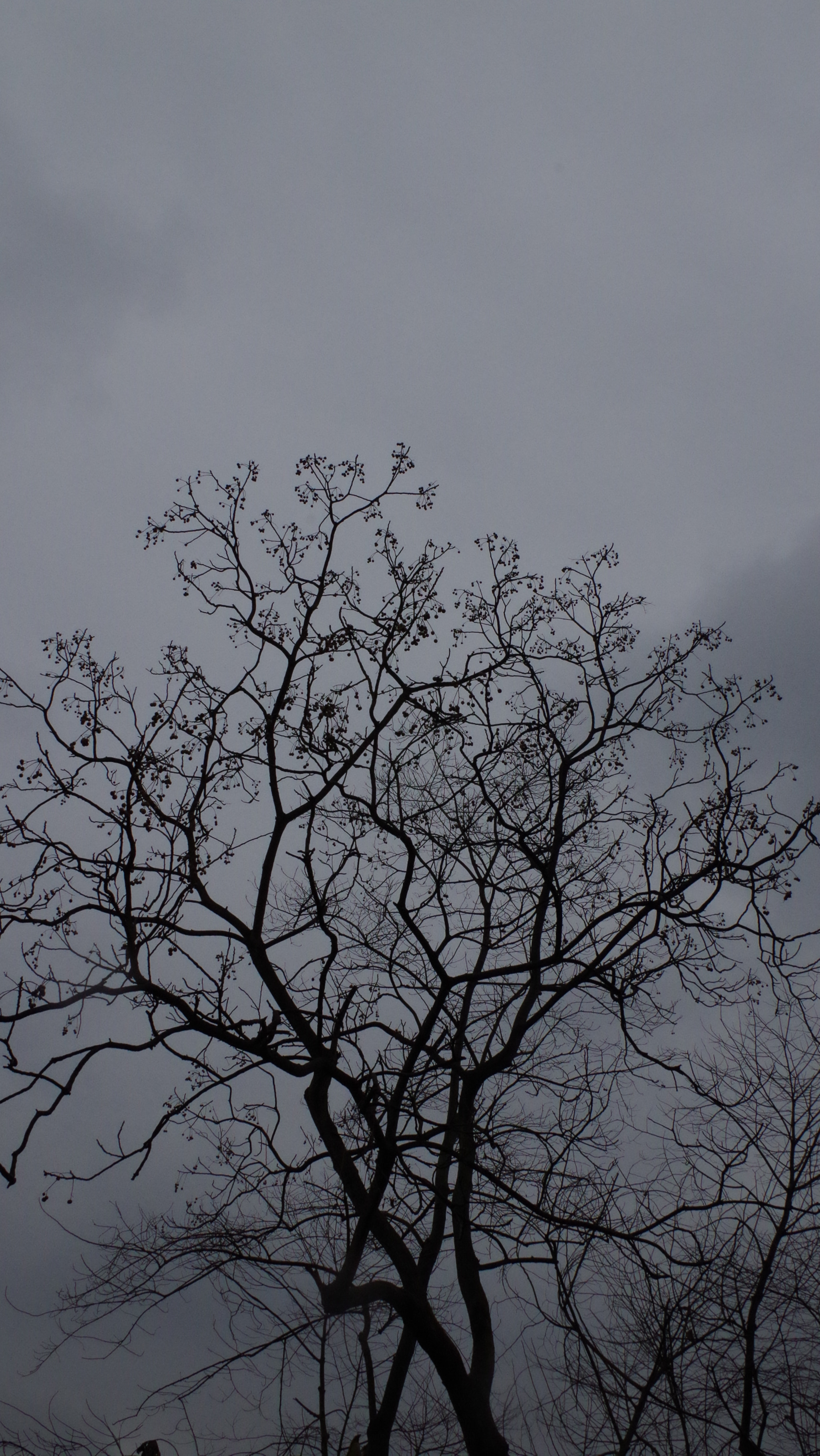 Pentax K-01 sample photo