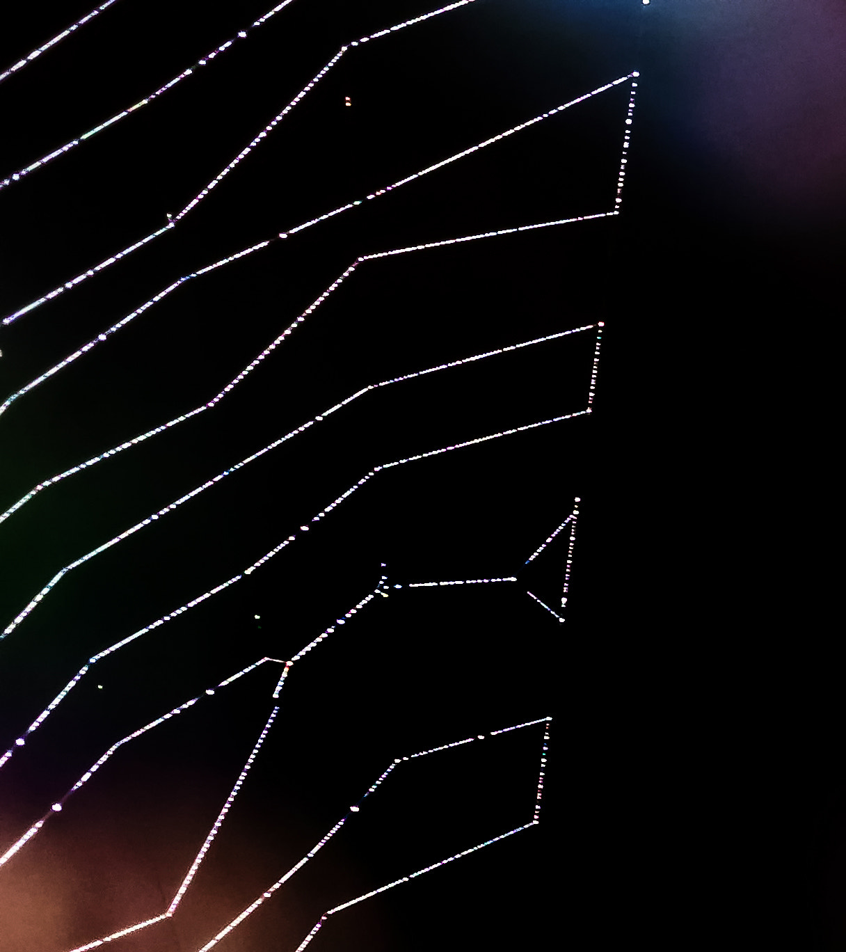 Canon EF 100mm F2.8L Macro IS USM sample photo. Geometrical constellations photography