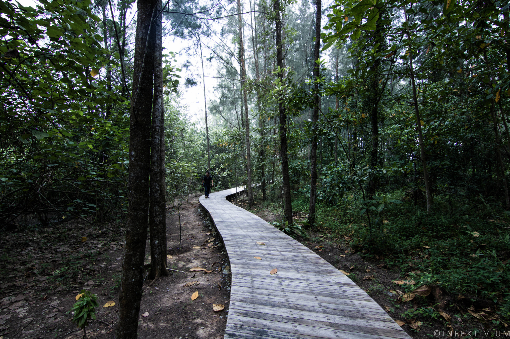 Canon EOS 760D (EOS Rebel T6s / EOS 8000D) sample photo. Boardwalk in coney island, singapore photography