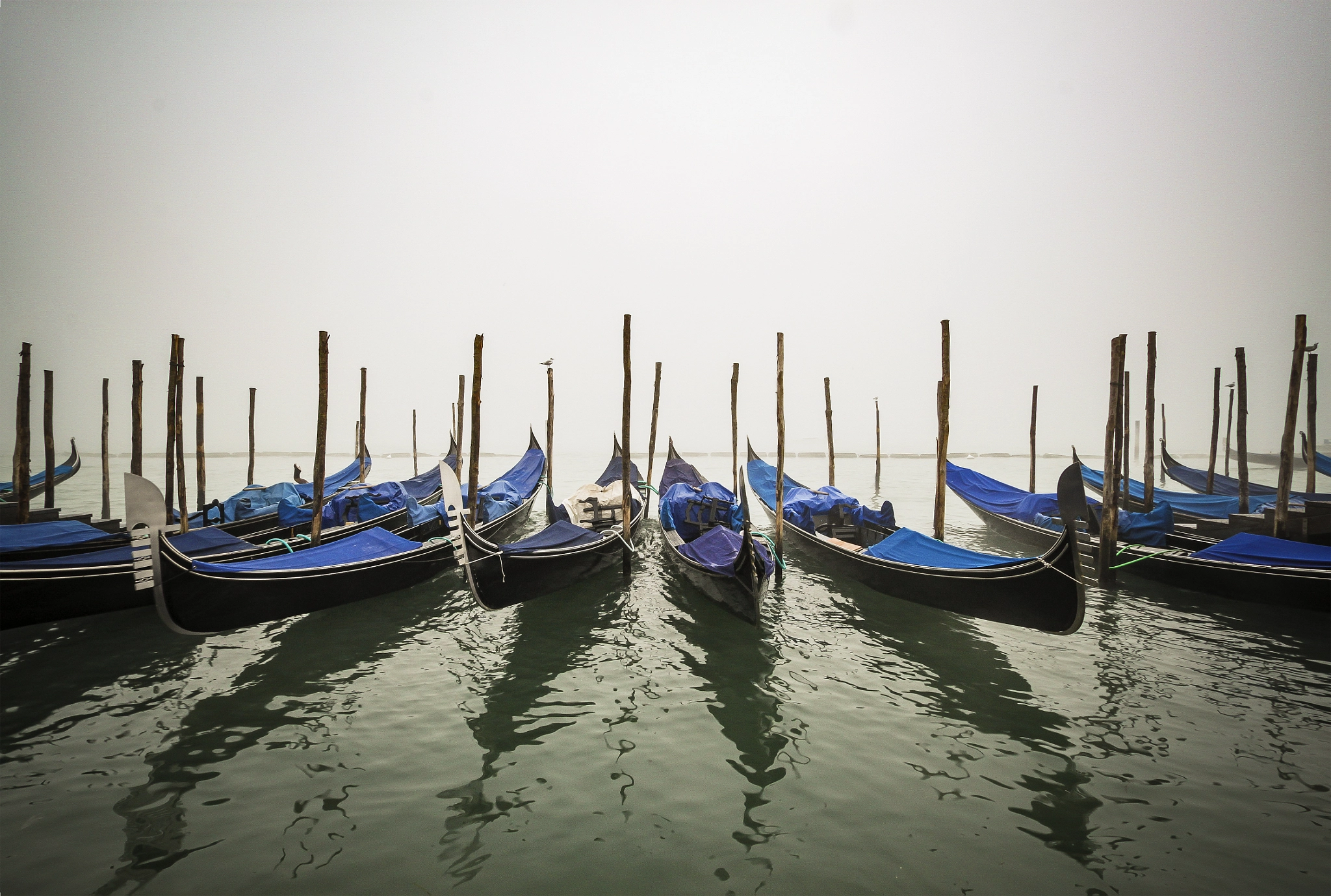 Canon EOS 500D (EOS Rebel T1i / EOS Kiss X3) sample photo. Venice in the end of autumn photography