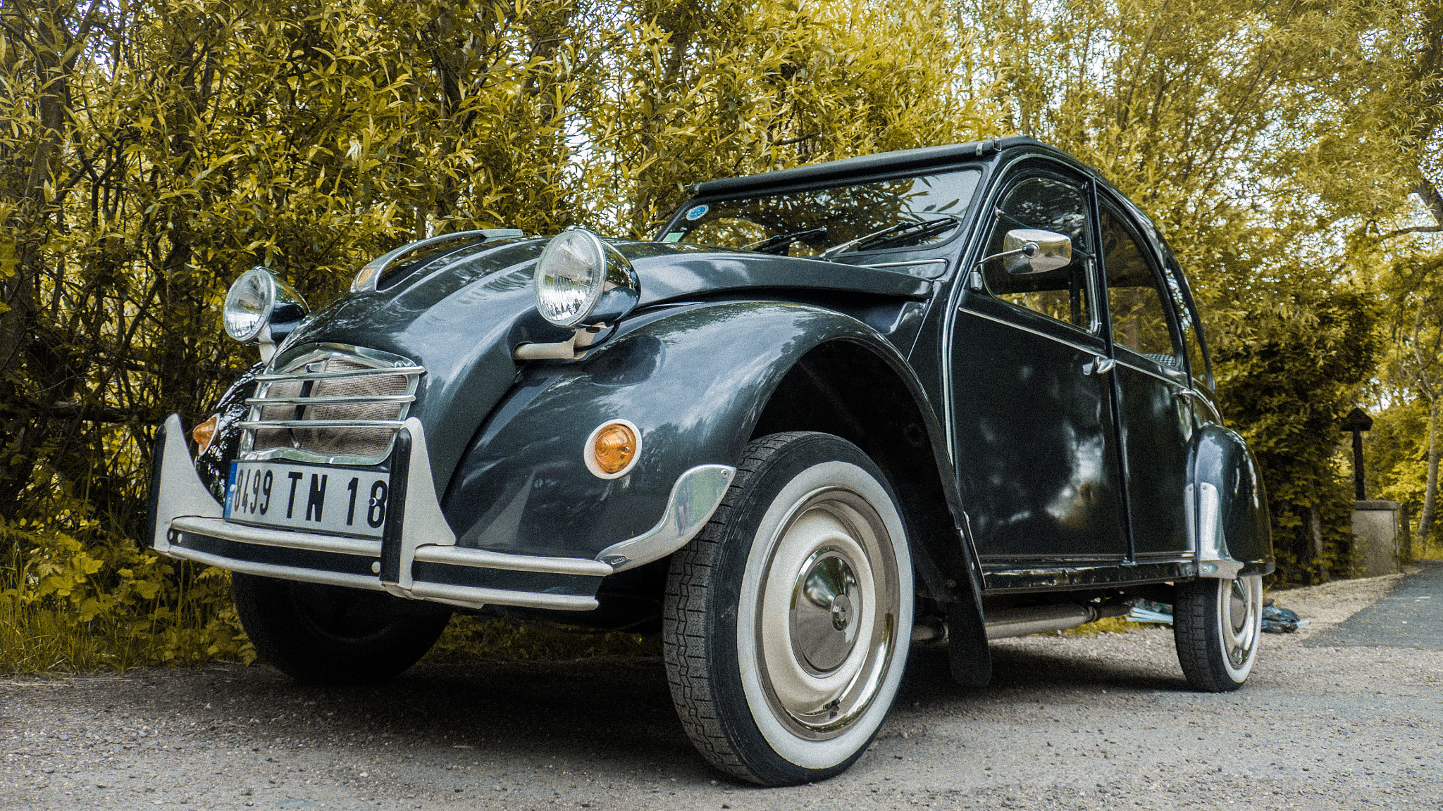 Panasonic Lumix DMC-GH3 sample photo. Deux chevaux photography