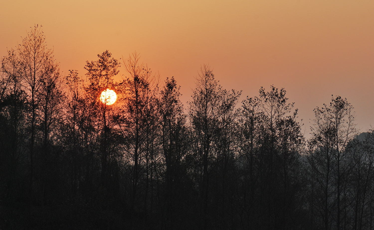Nikon D80 sample photo. Sunrise in winter photography
