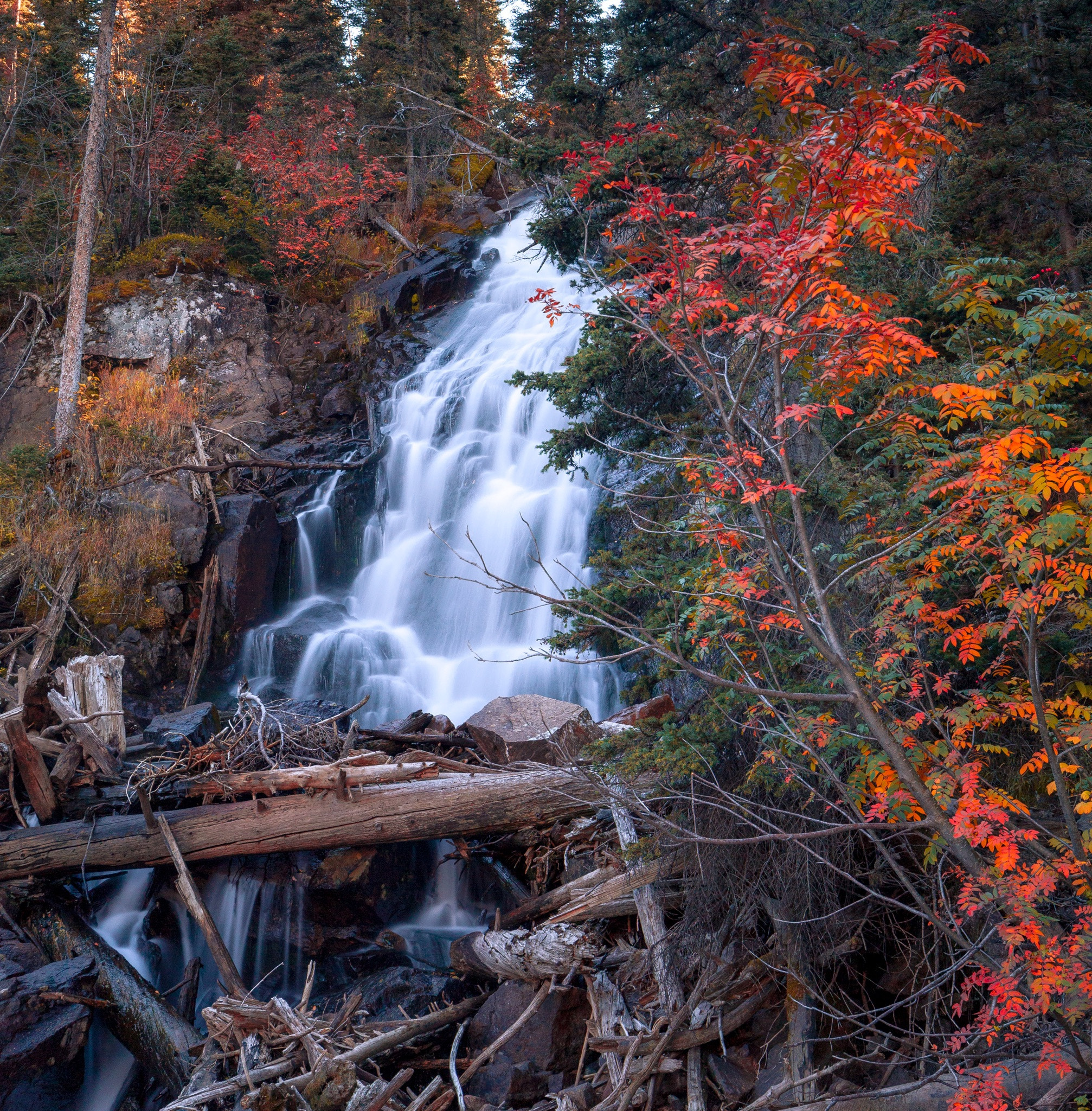 Canon EOS 5D Mark II sample photo. Falls hidden in the fern lake trail at rocky mountain np photography